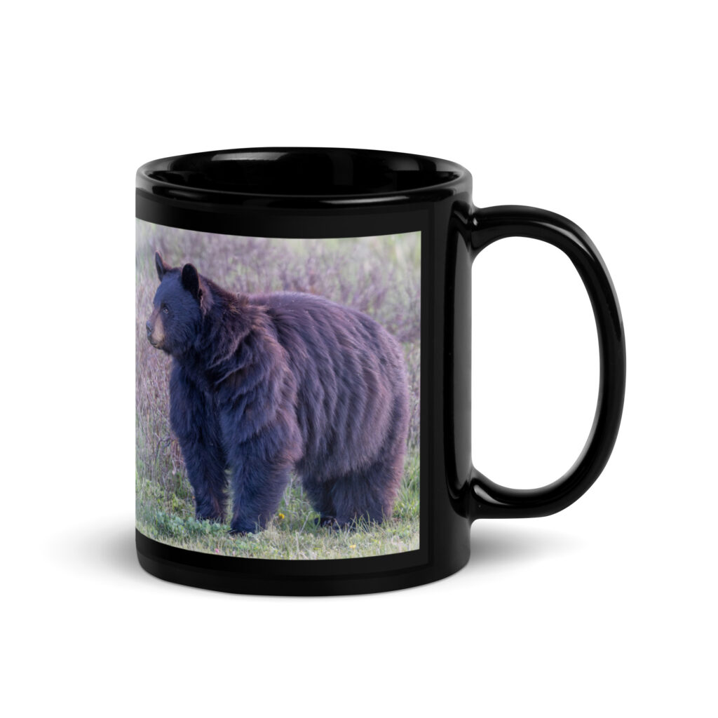 American black bear! Black Glossy Mug