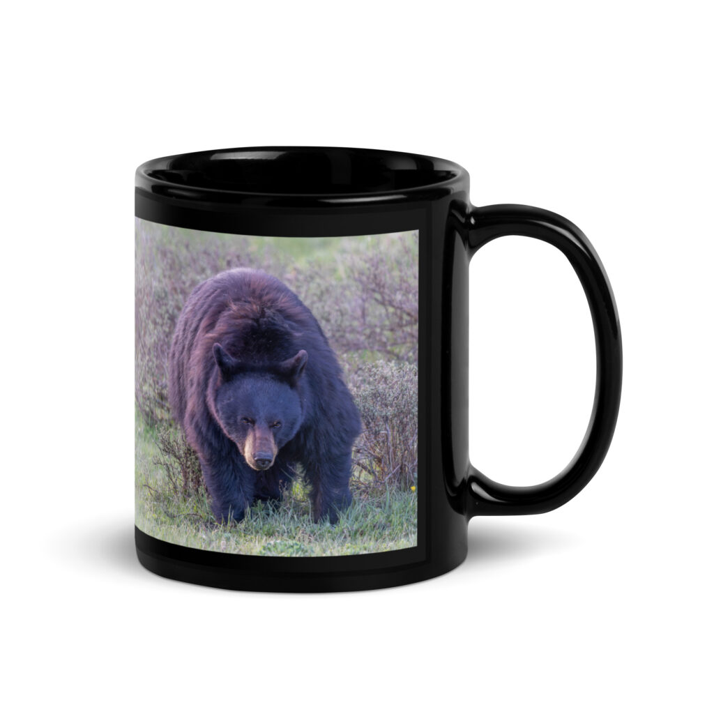 American black bear! Black Glossy Mug