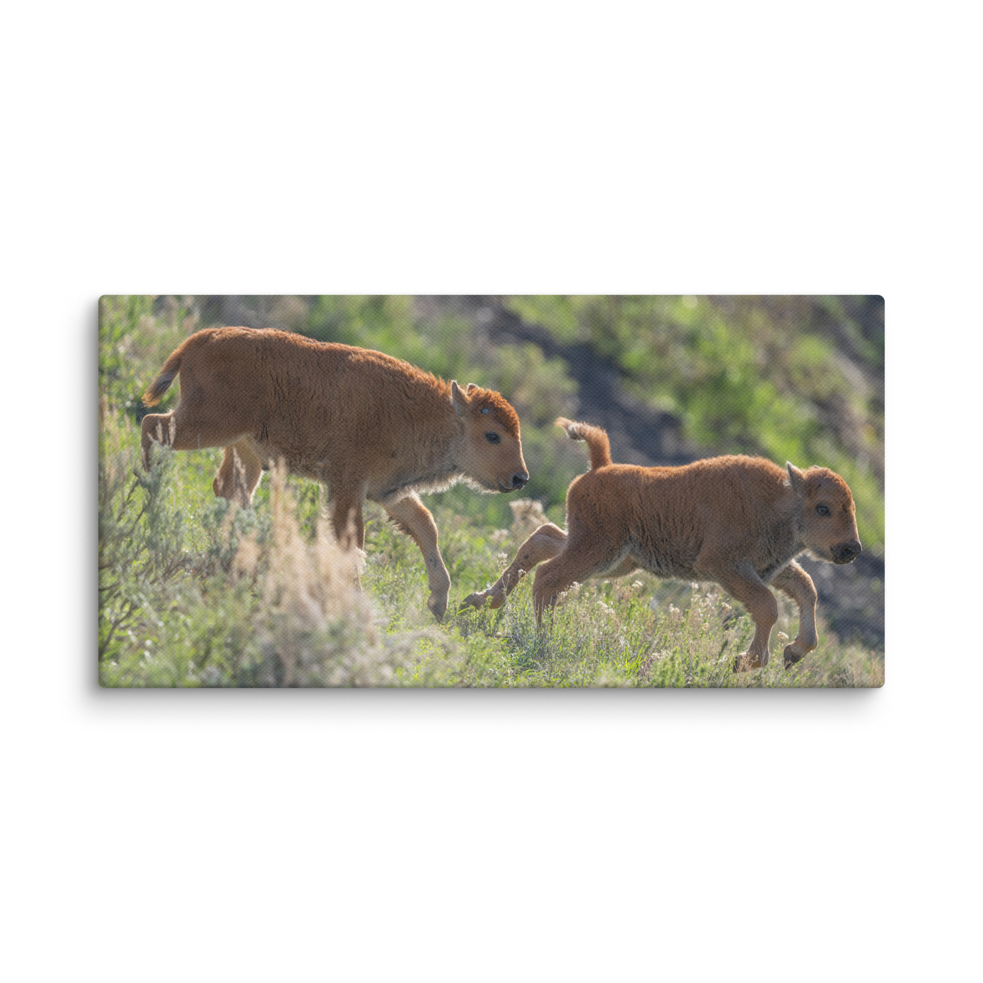 Red Dogs! Canvas - Image 2