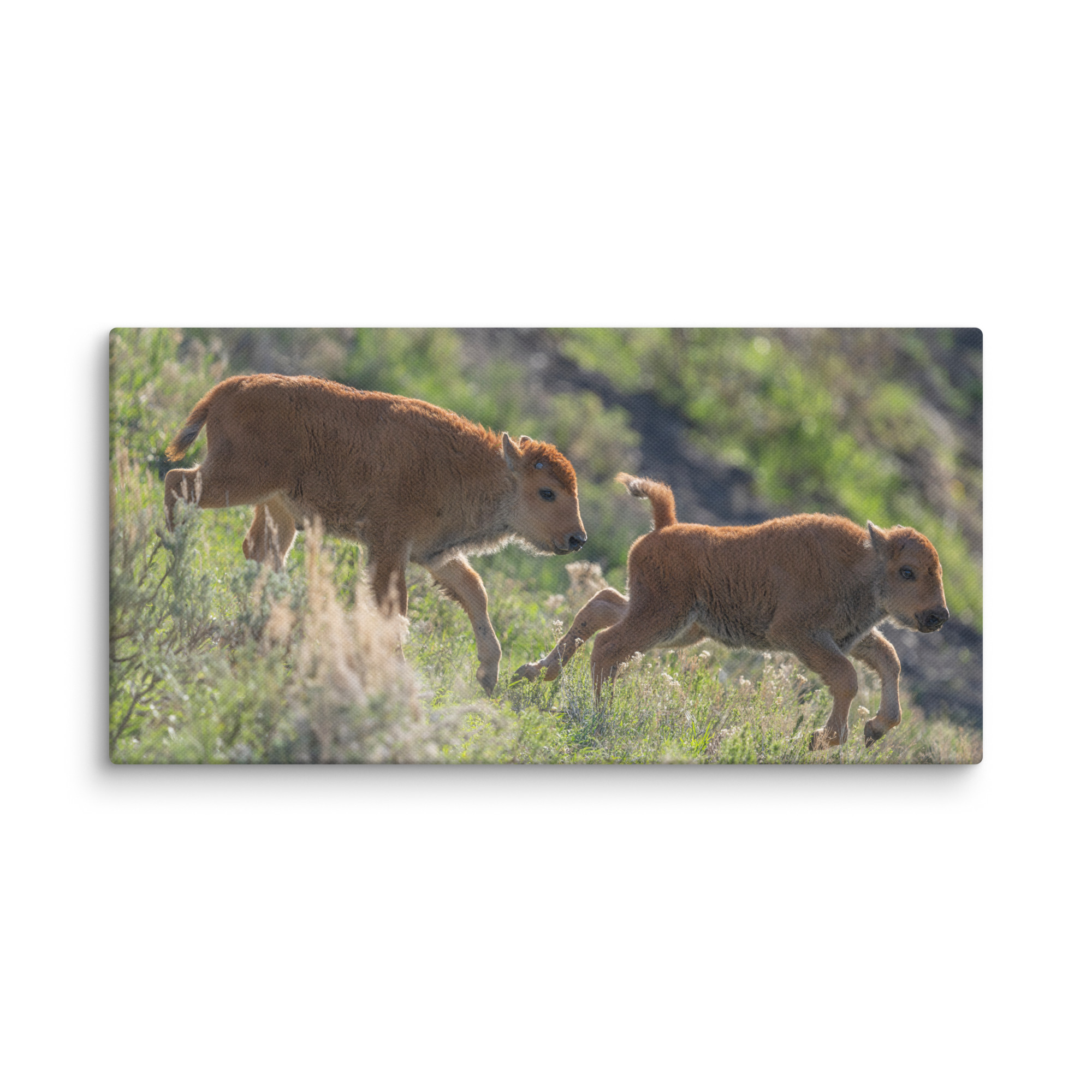 Red Dogs! Canvas - Image 3