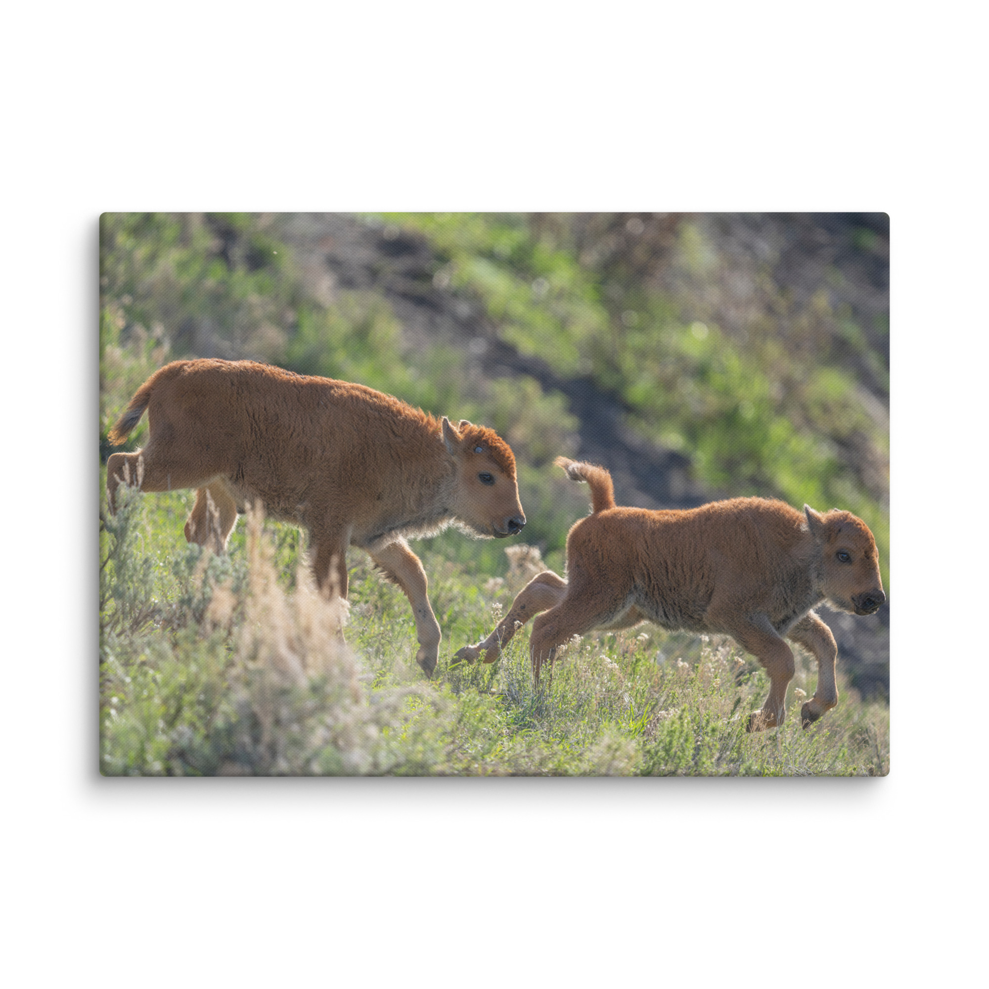 Red Dogs! Canvas - Image 6