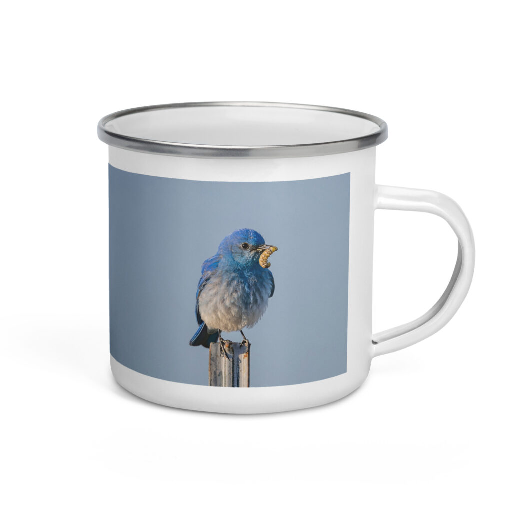 Mountain Blue Bird with food! Enamel Mug