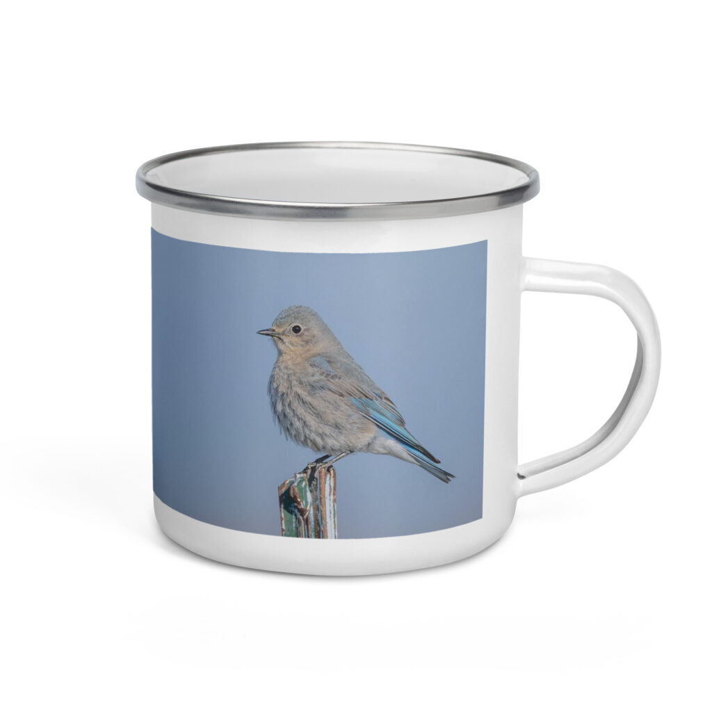 Female Mountain Bluebird! Enamel Mug