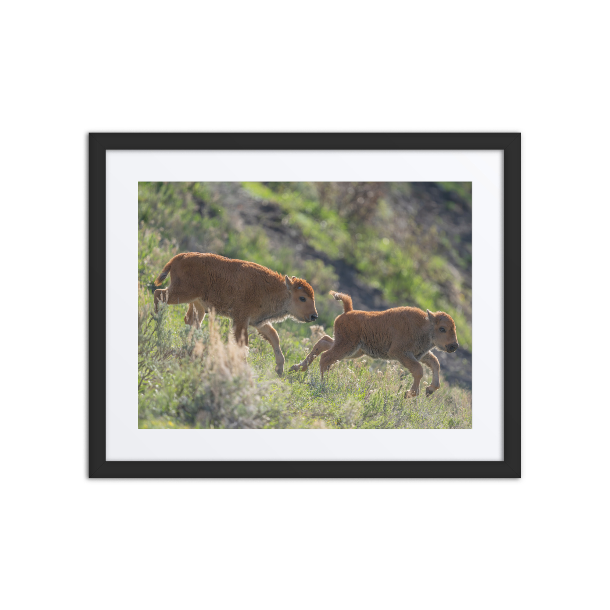 Red Dogs! Framed poster - Image 2
