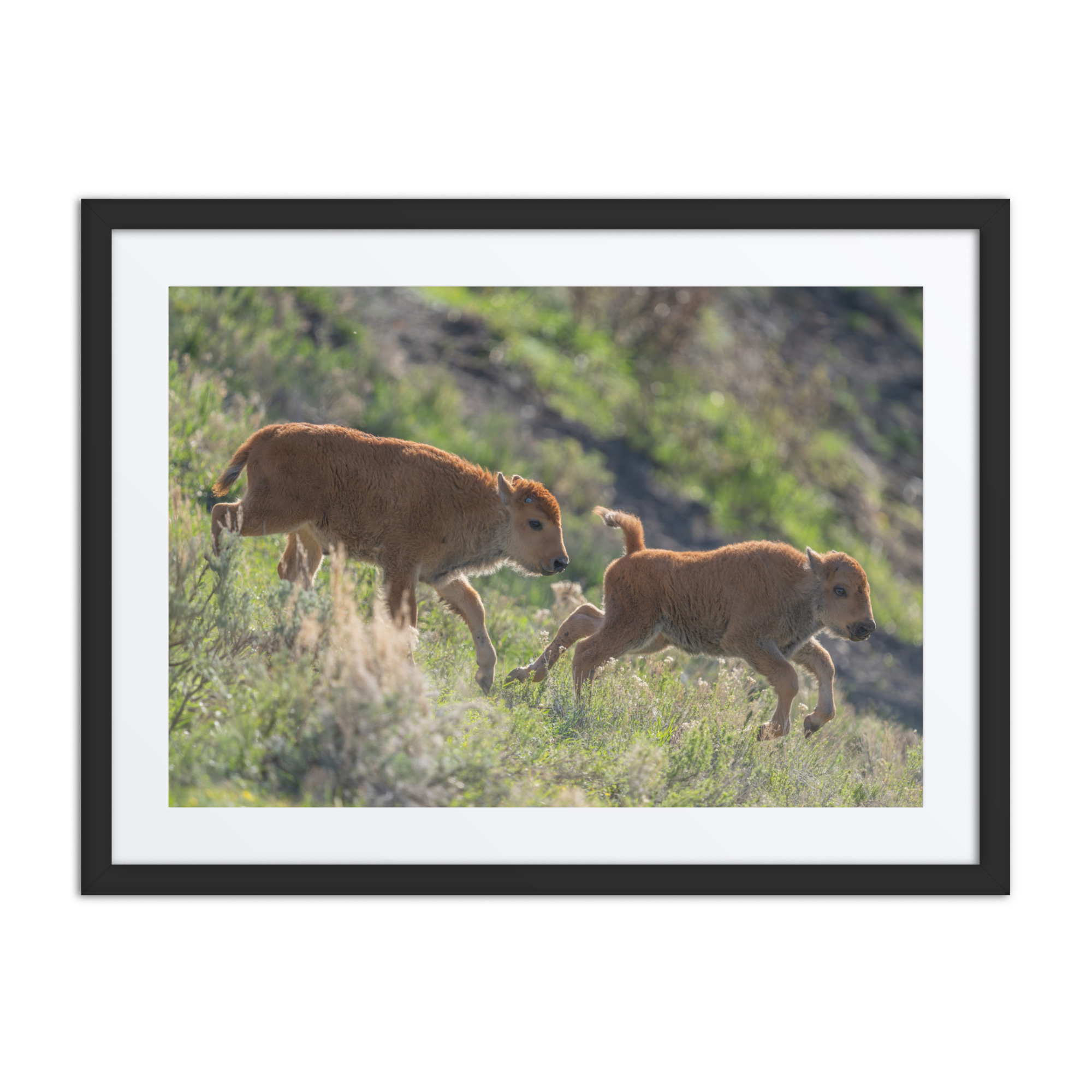 Red Dogs! Framed poster - Image 3