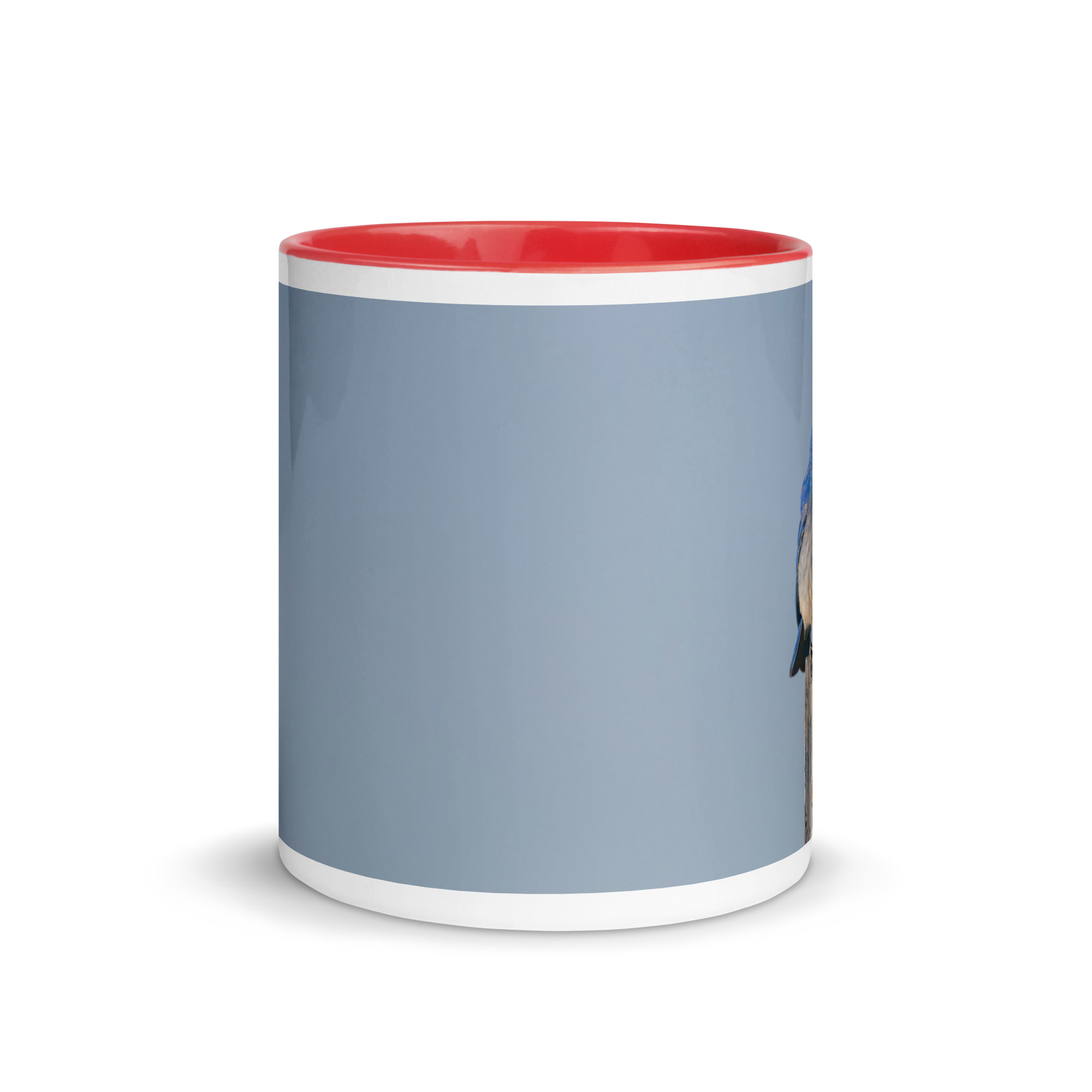 Mountain Blue Bird with food! Mug with Color Inside - Image 2