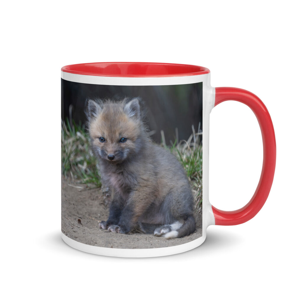 Baby Fox! Mug with Color Inside