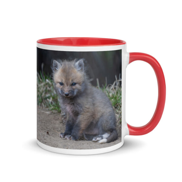 Baby Fox! Mug with Color Inside