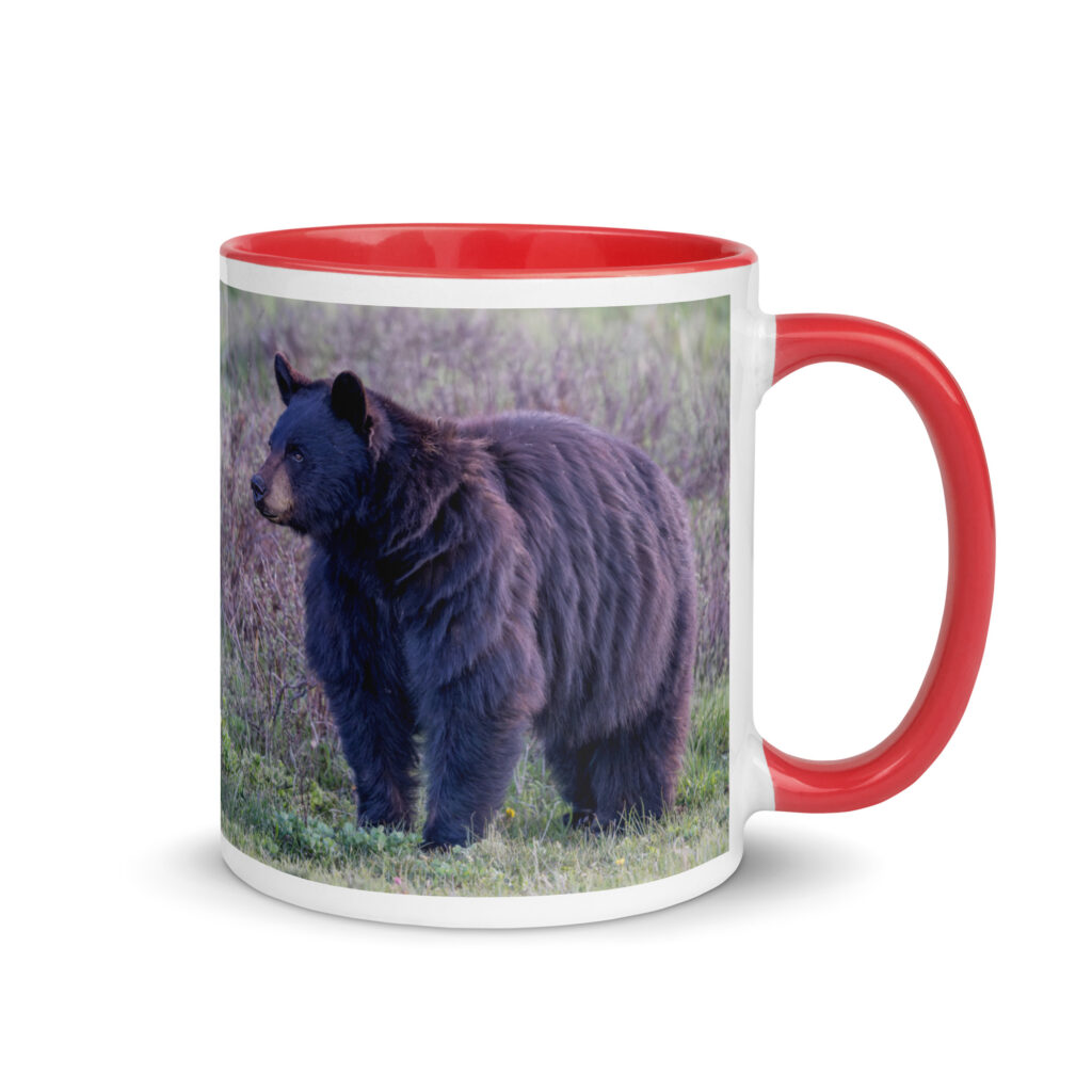 American black bear! Mug with Color Inside
