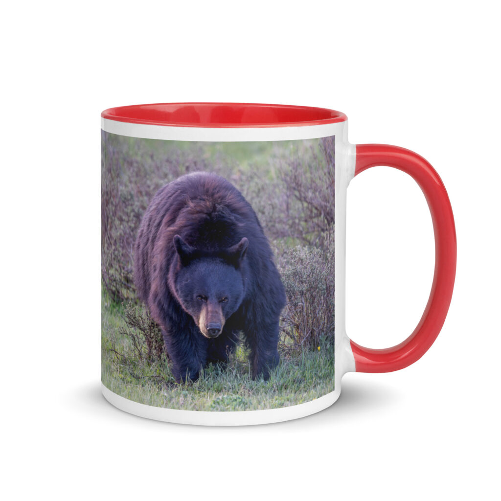 American black bear! Mug with Color Inside