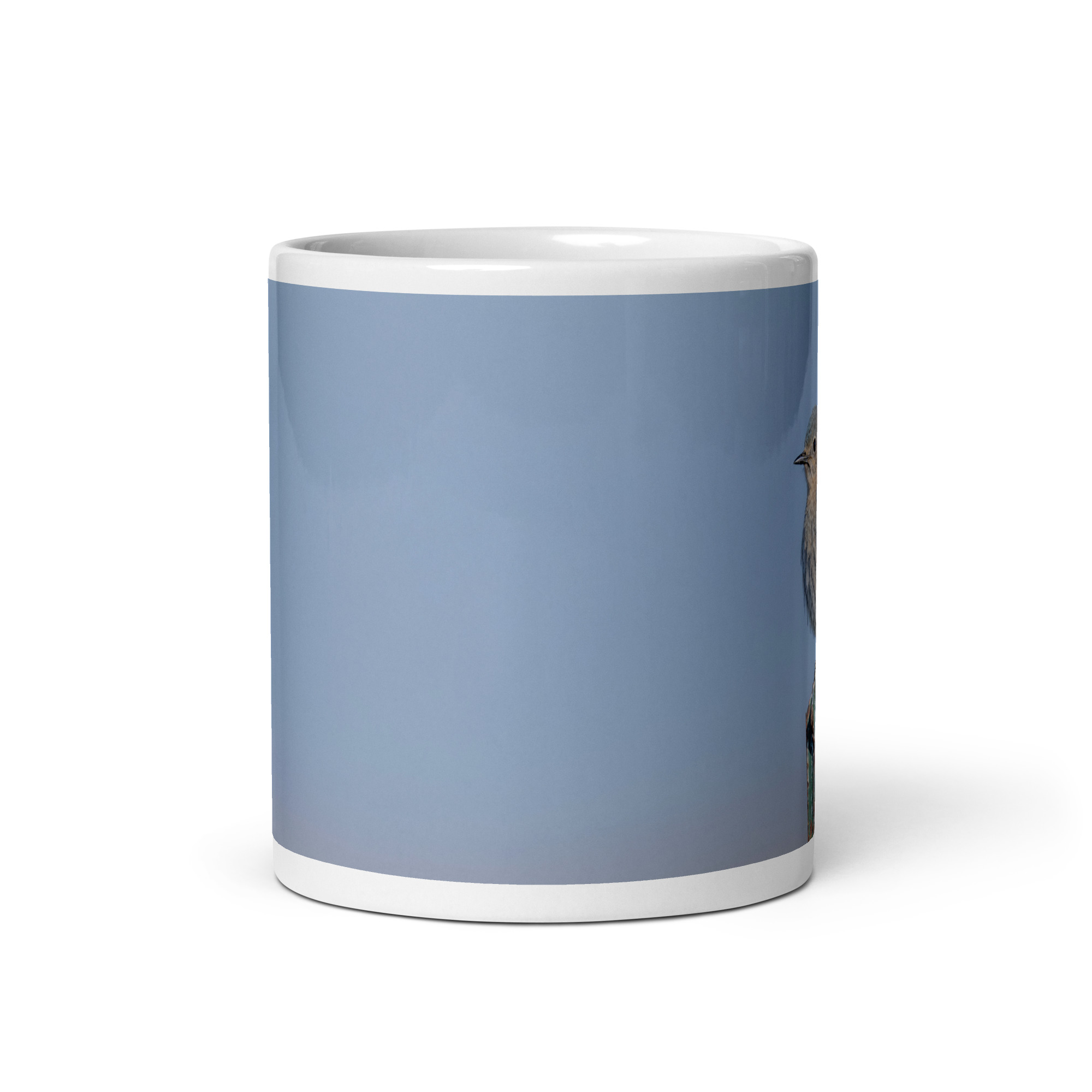 Female Mountain Bluebird! White glossy mug - Image 3
