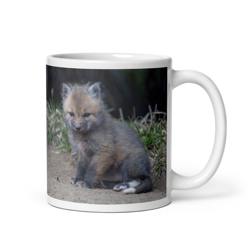 Baby Fox! White glossy mug