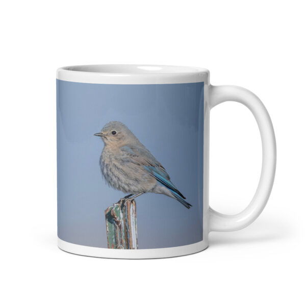 Female Mountain Bluebird! White glossy mug
