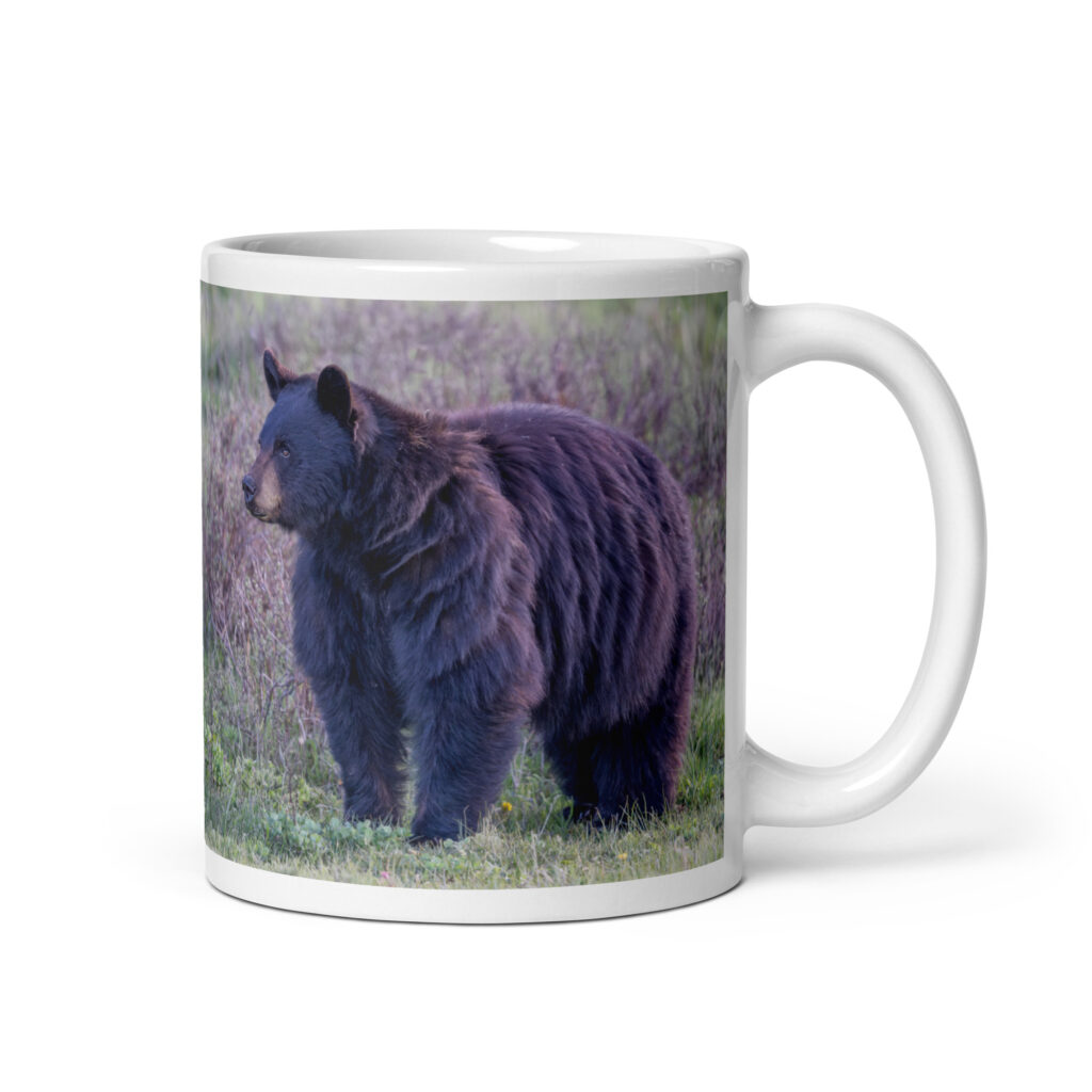 American black bear! White glossy mug