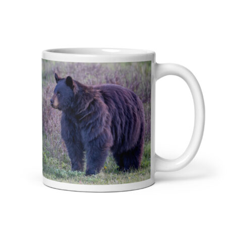 American black bear! White glossy mug