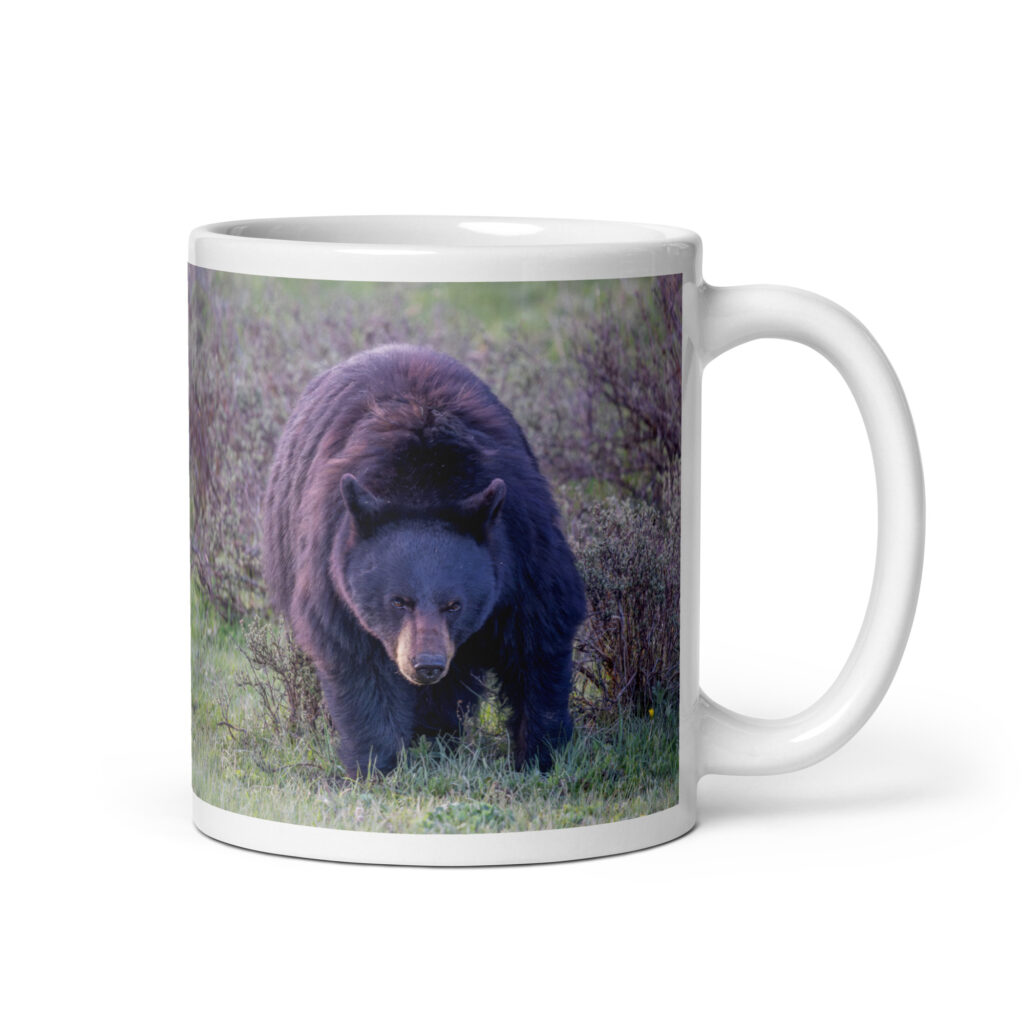 American black bear! White glossy mug