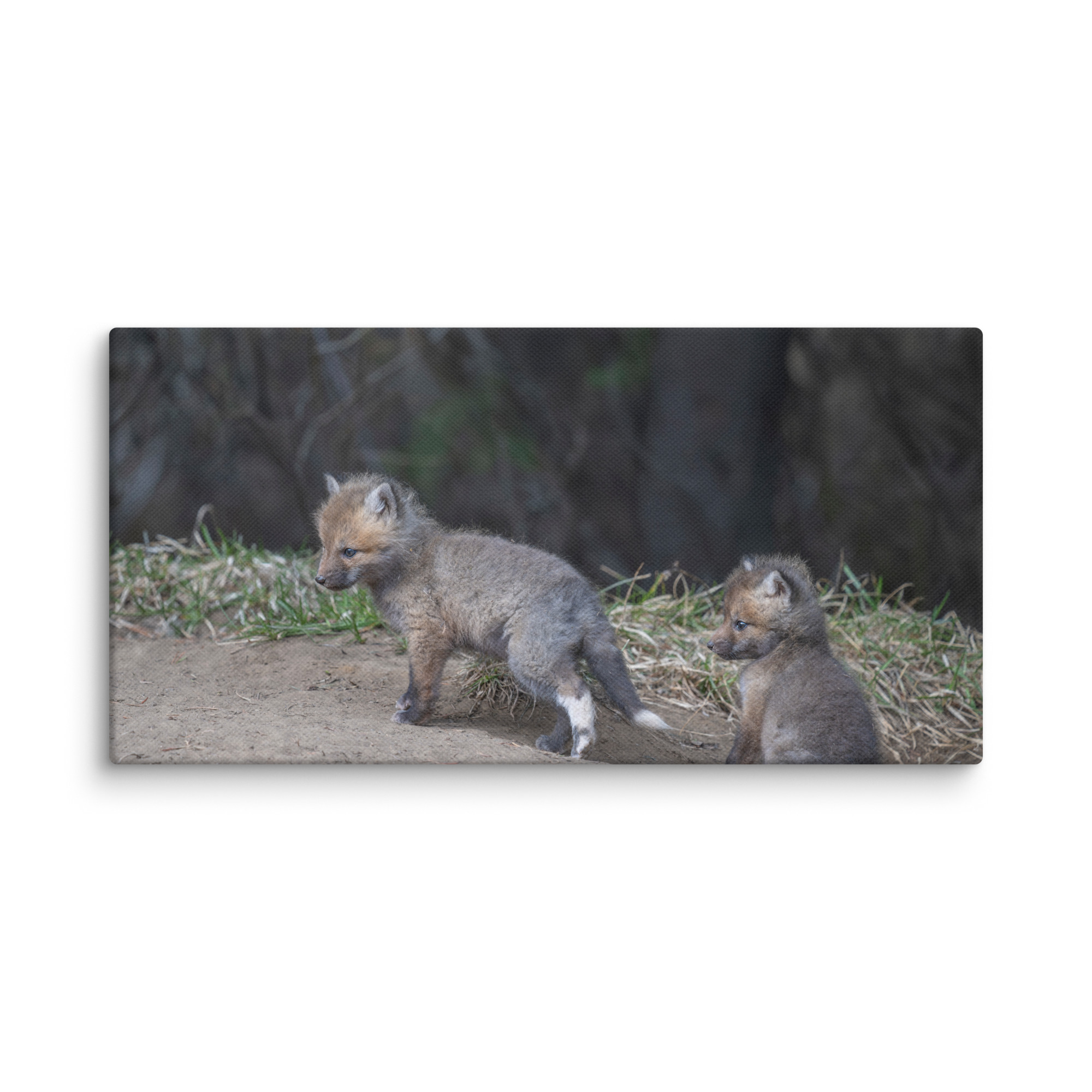 Play Time Baby Red fox! Canvas - Image 5