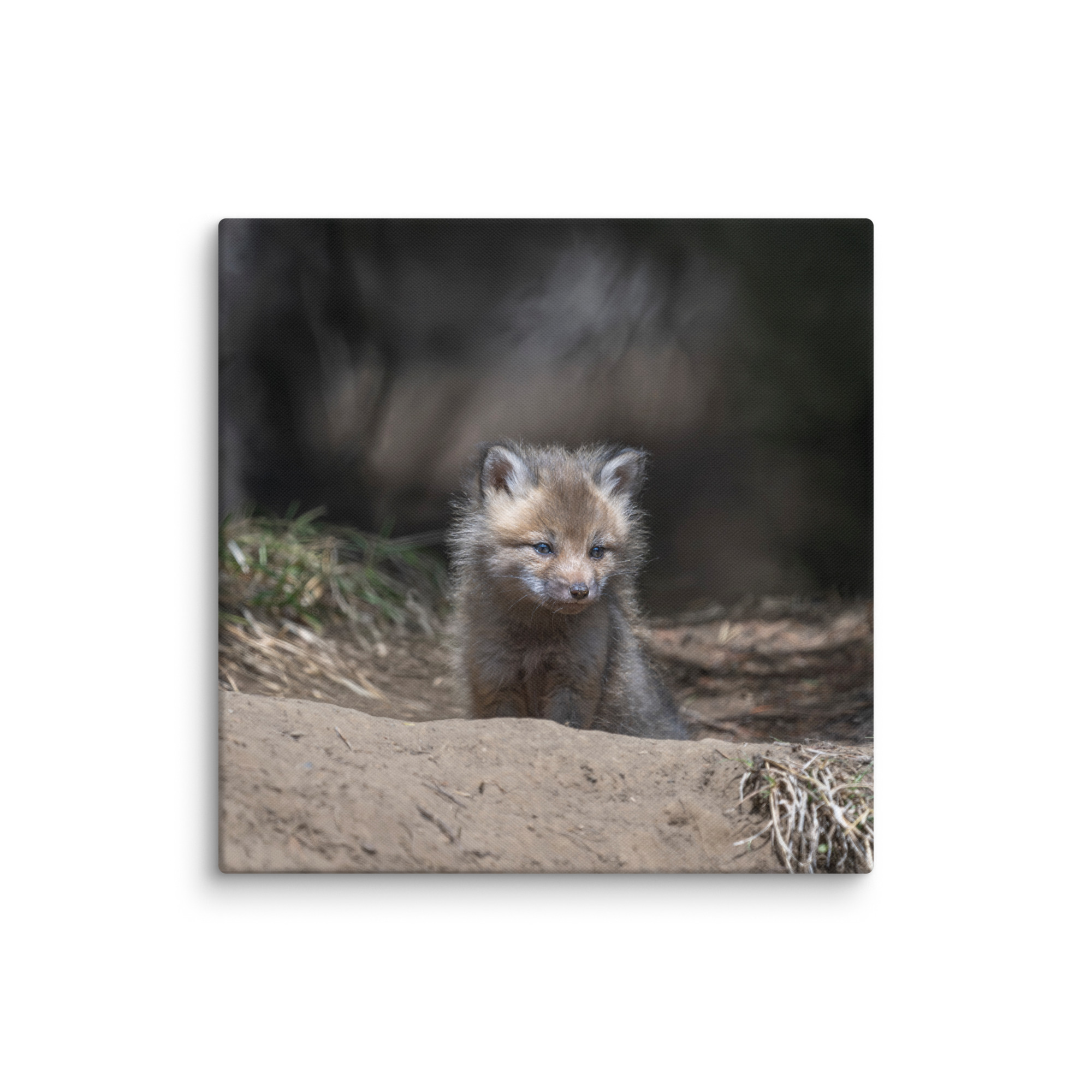 Contemplation in Progress! Canvas - Image 9
