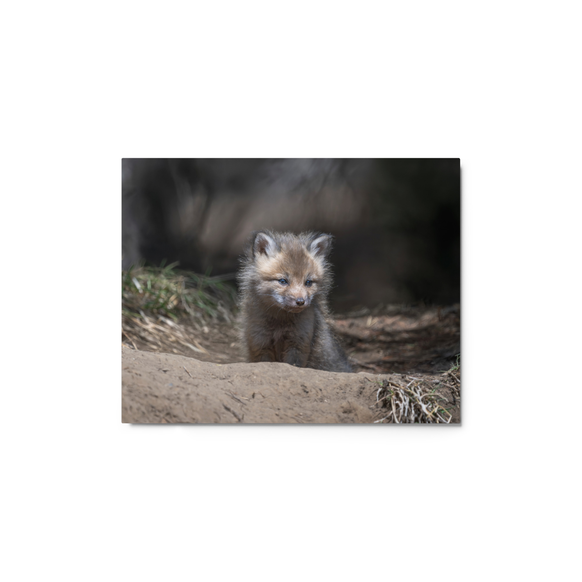 Contemplation in Progress! Metal prints - Image 2