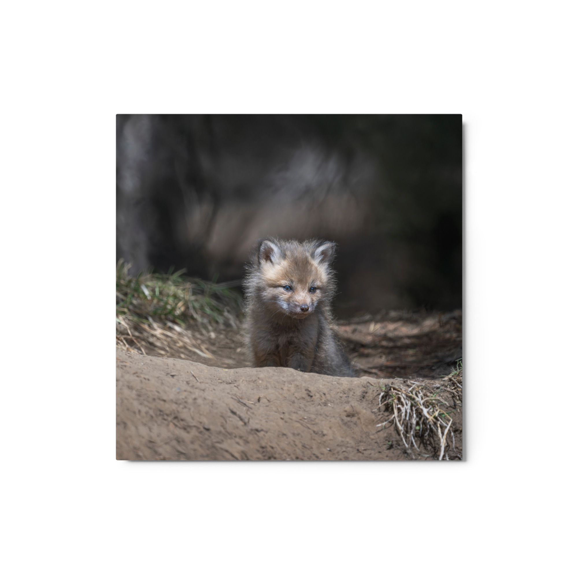 Contemplation in Progress! Metal prints - Image 3