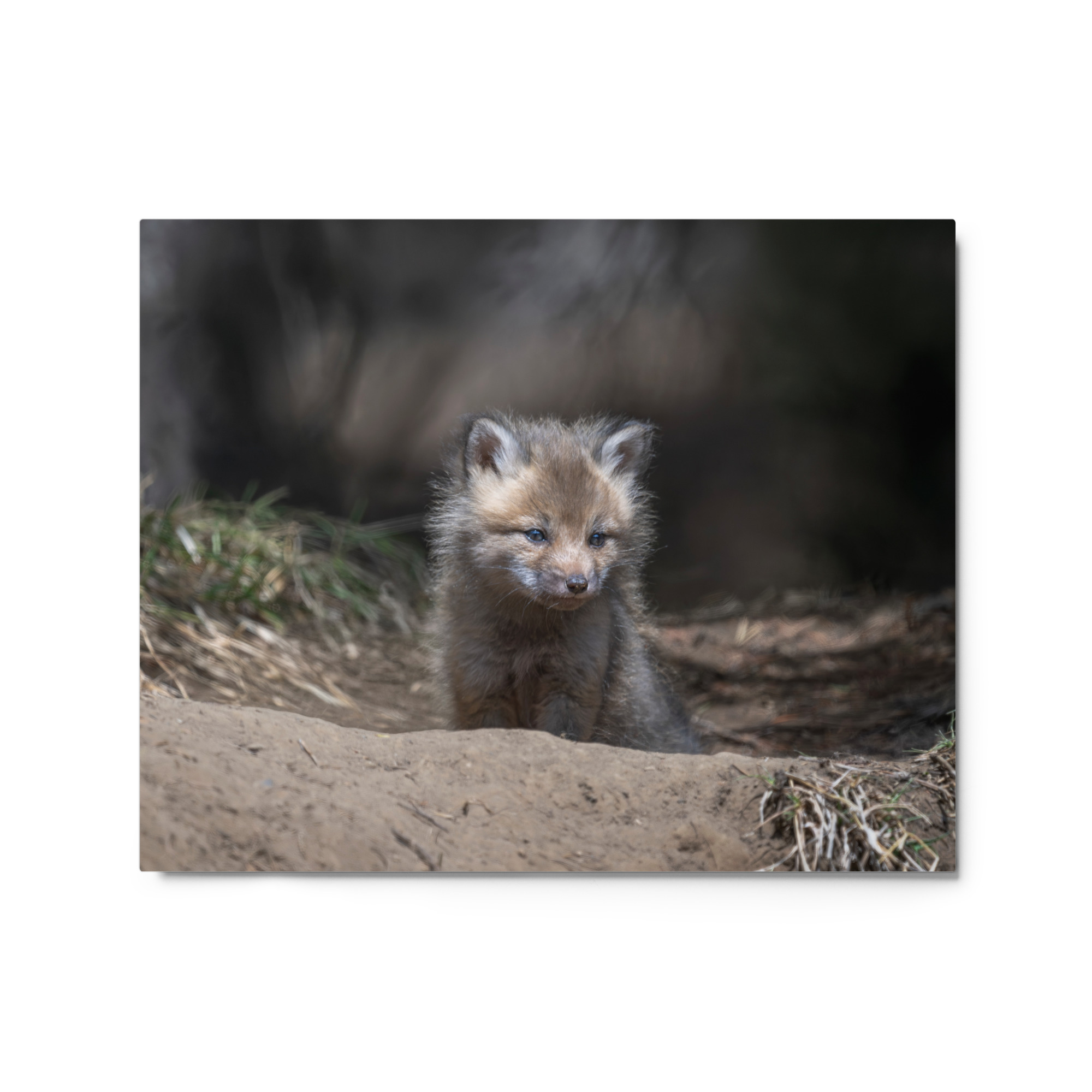 Contemplation in Progress! Metal prints - Image 4