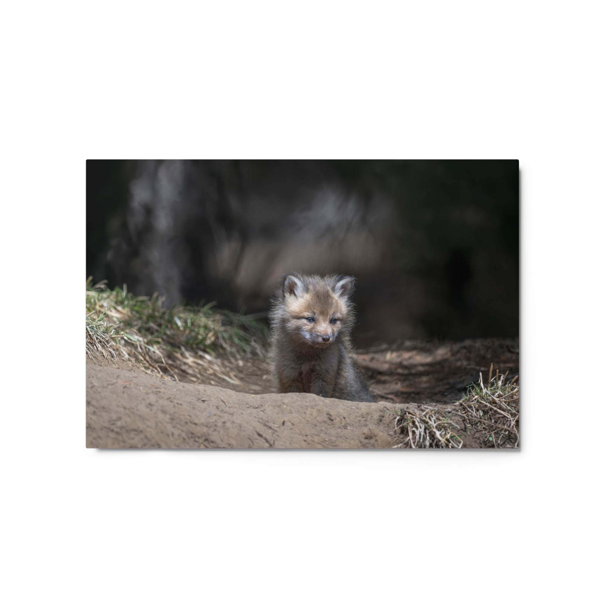 Contemplation in Progress! Metal prints - Image 5