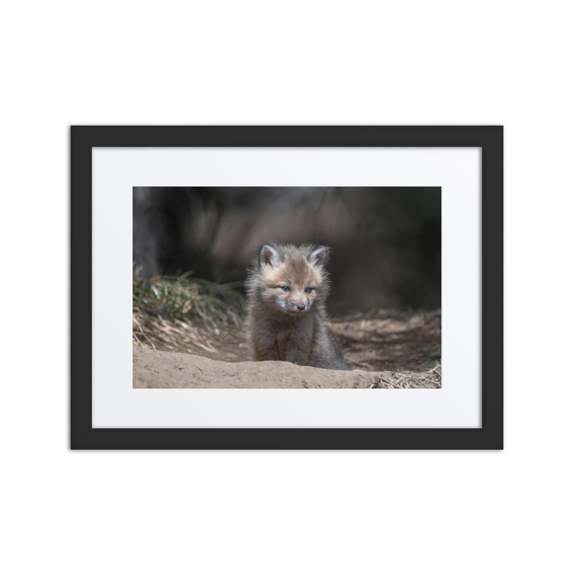 Contemplation in Progress! Framed mat poster