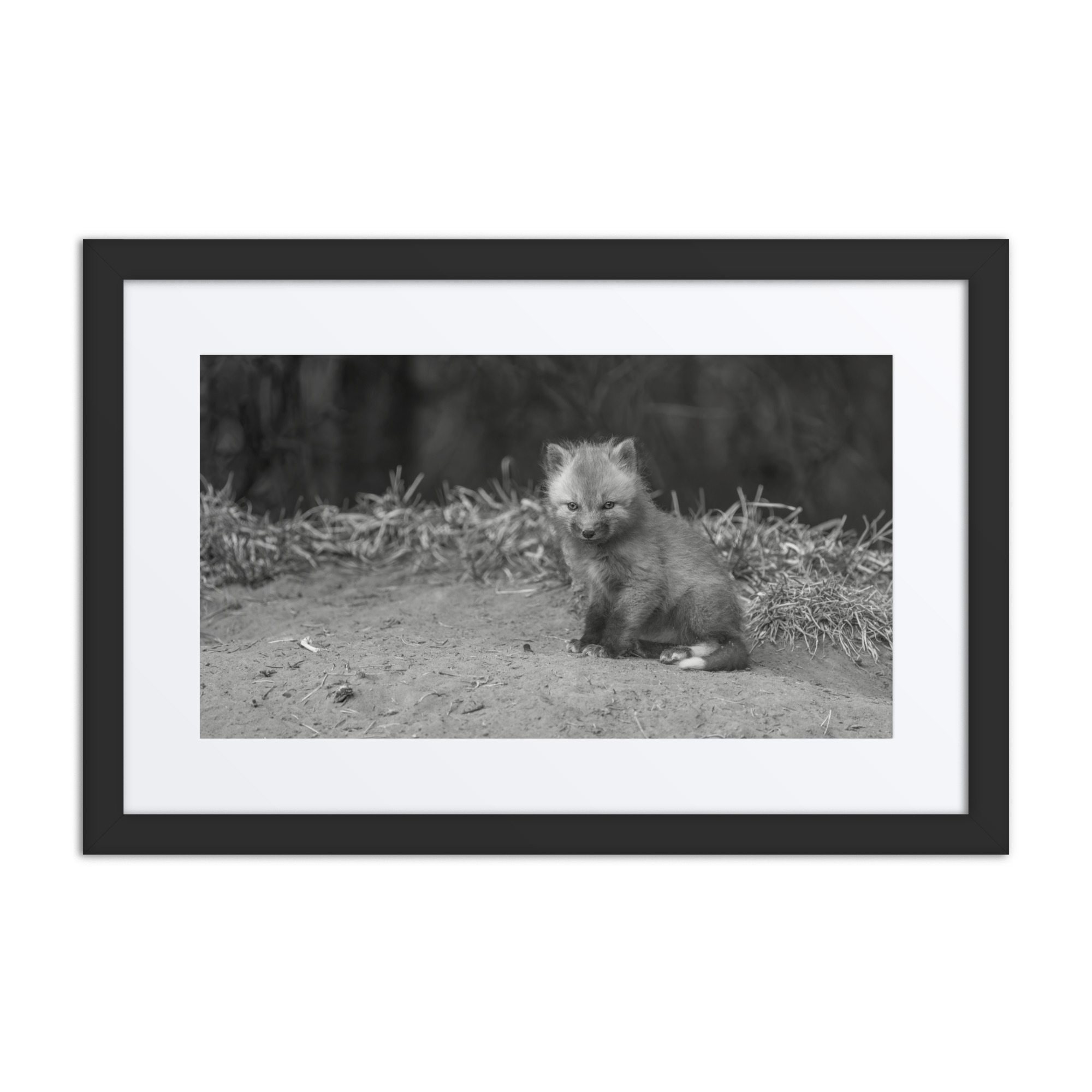 Sharp gaze baby red fox (Monochrome)! Framed mat poster - Image 2