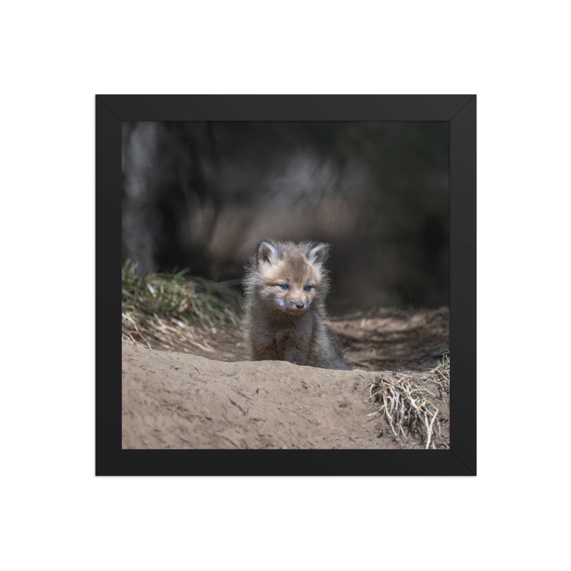 Contemplation in Progress! Framed photo paper poster - Image 3