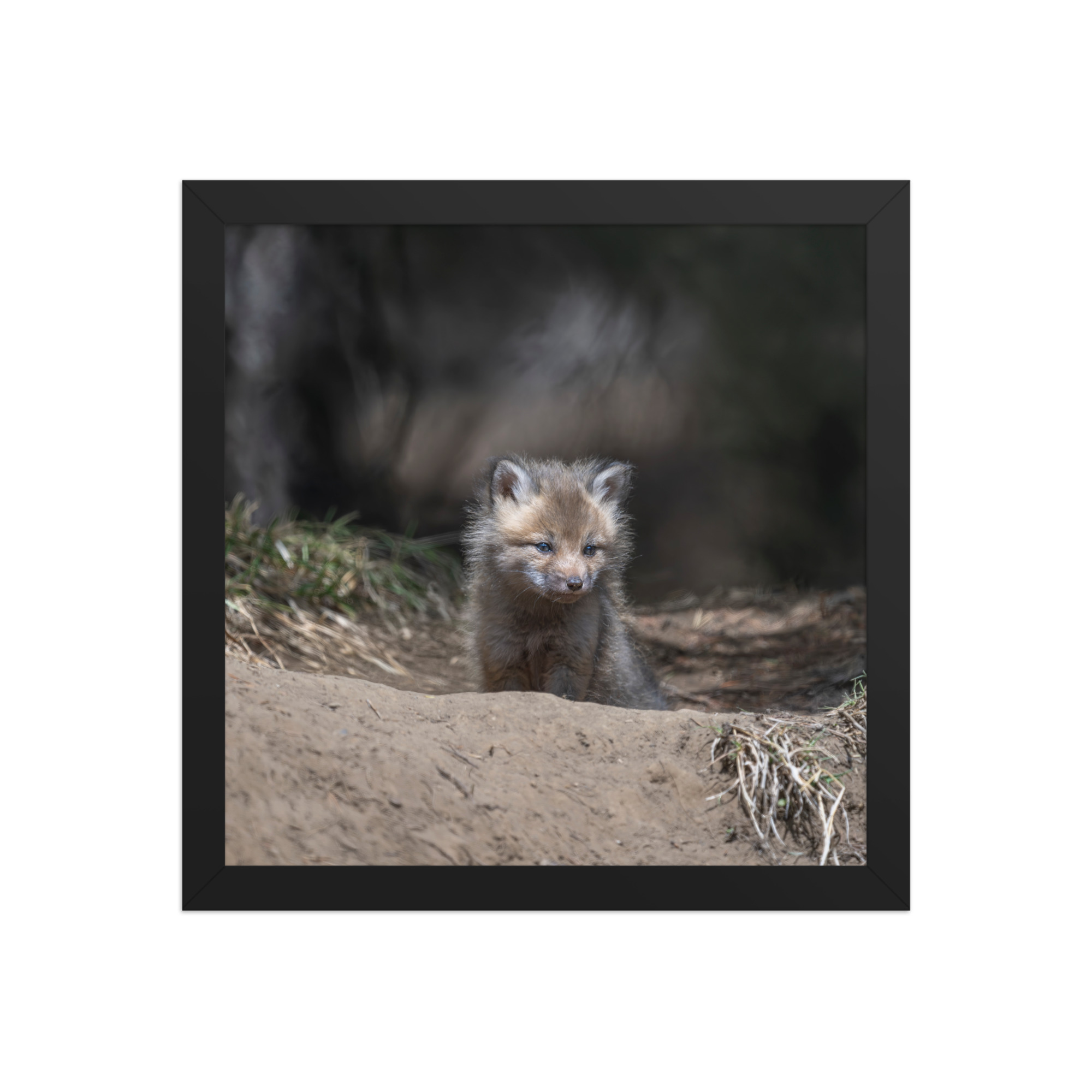 Contemplation in Progress! Framed photo paper poster - Image 4