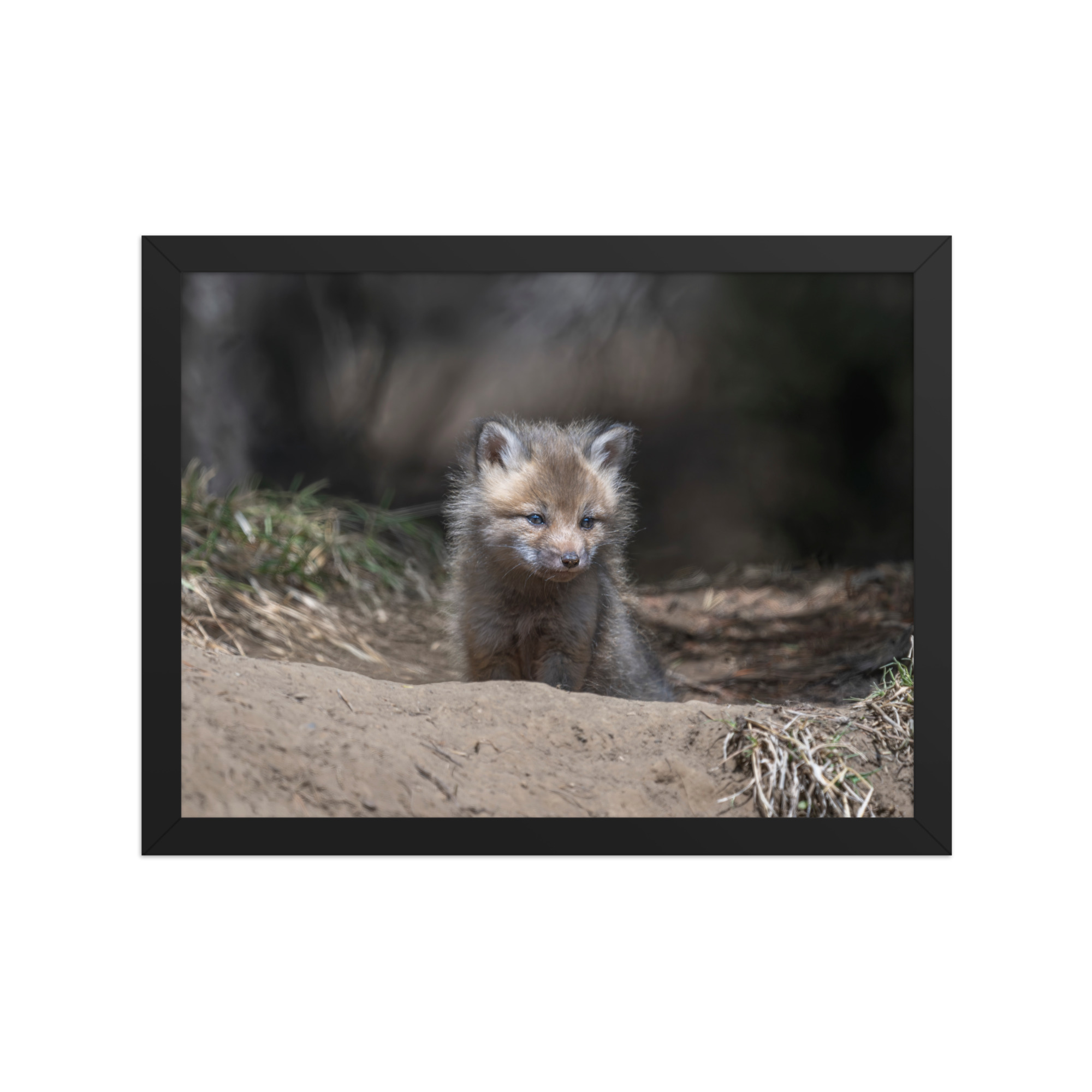Contemplation in Progress! Framed photo paper poster - Image 5