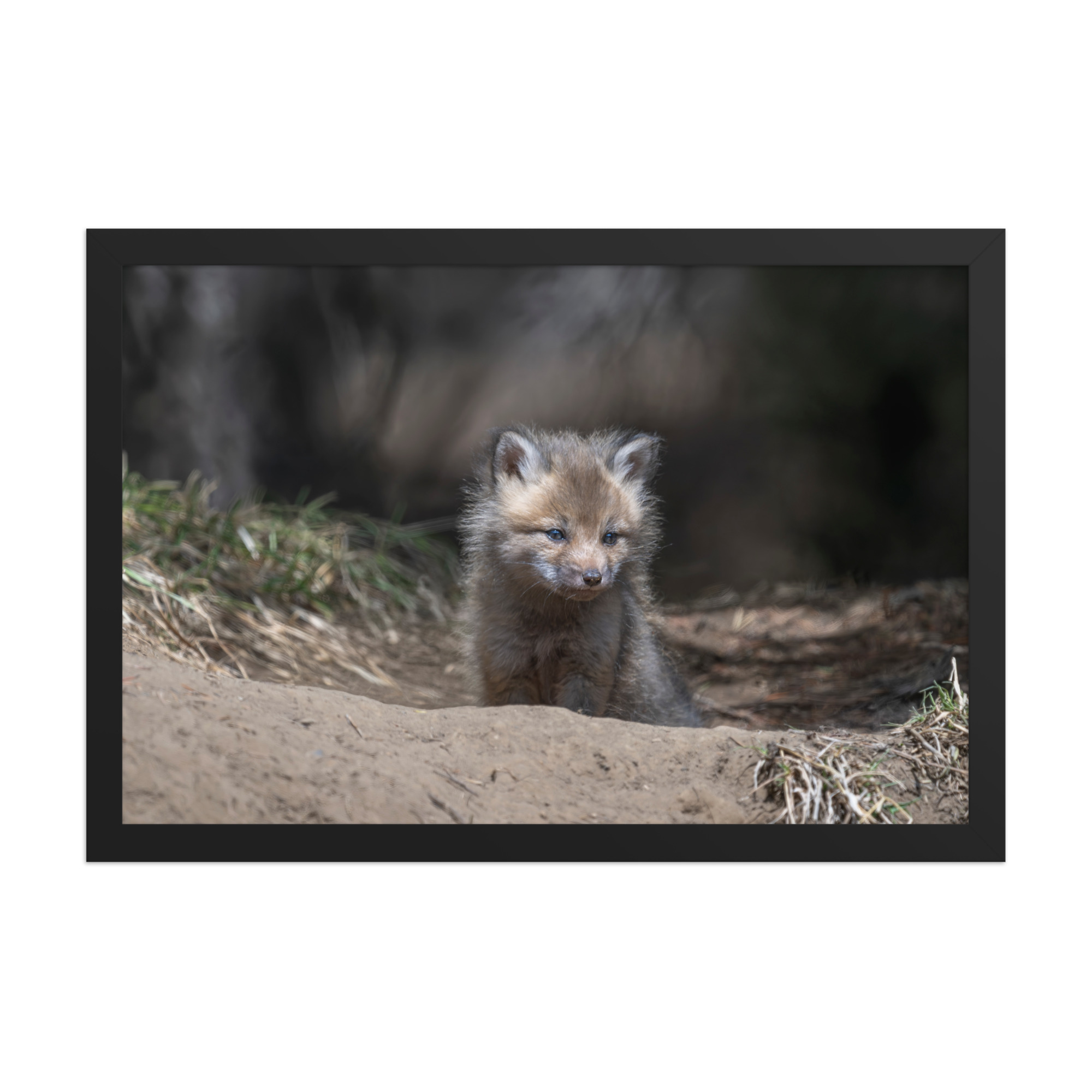 Contemplation in Progress! Framed photo paper poster - Image 6