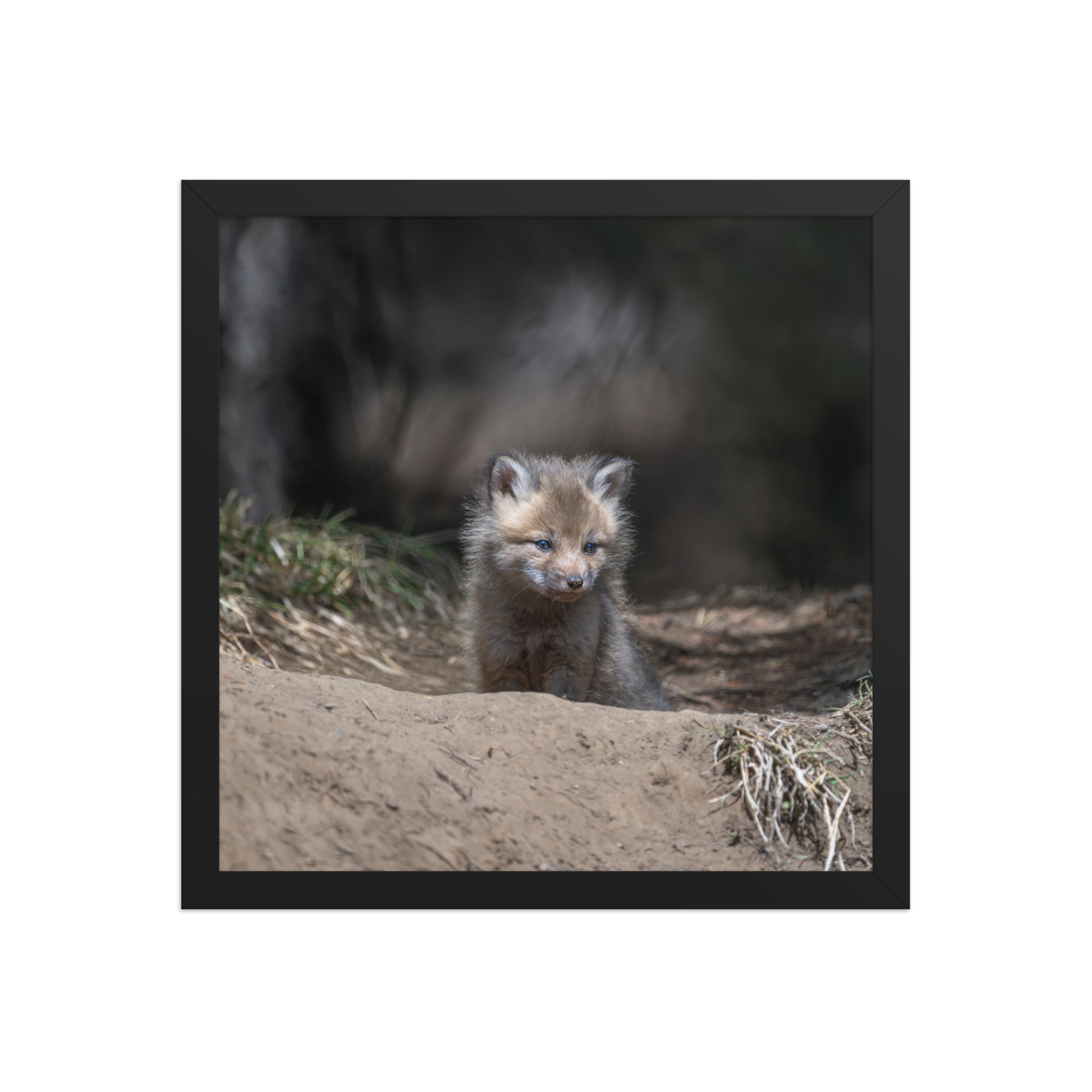 Contemplation in Progress! Framed photo paper poster - Image 7