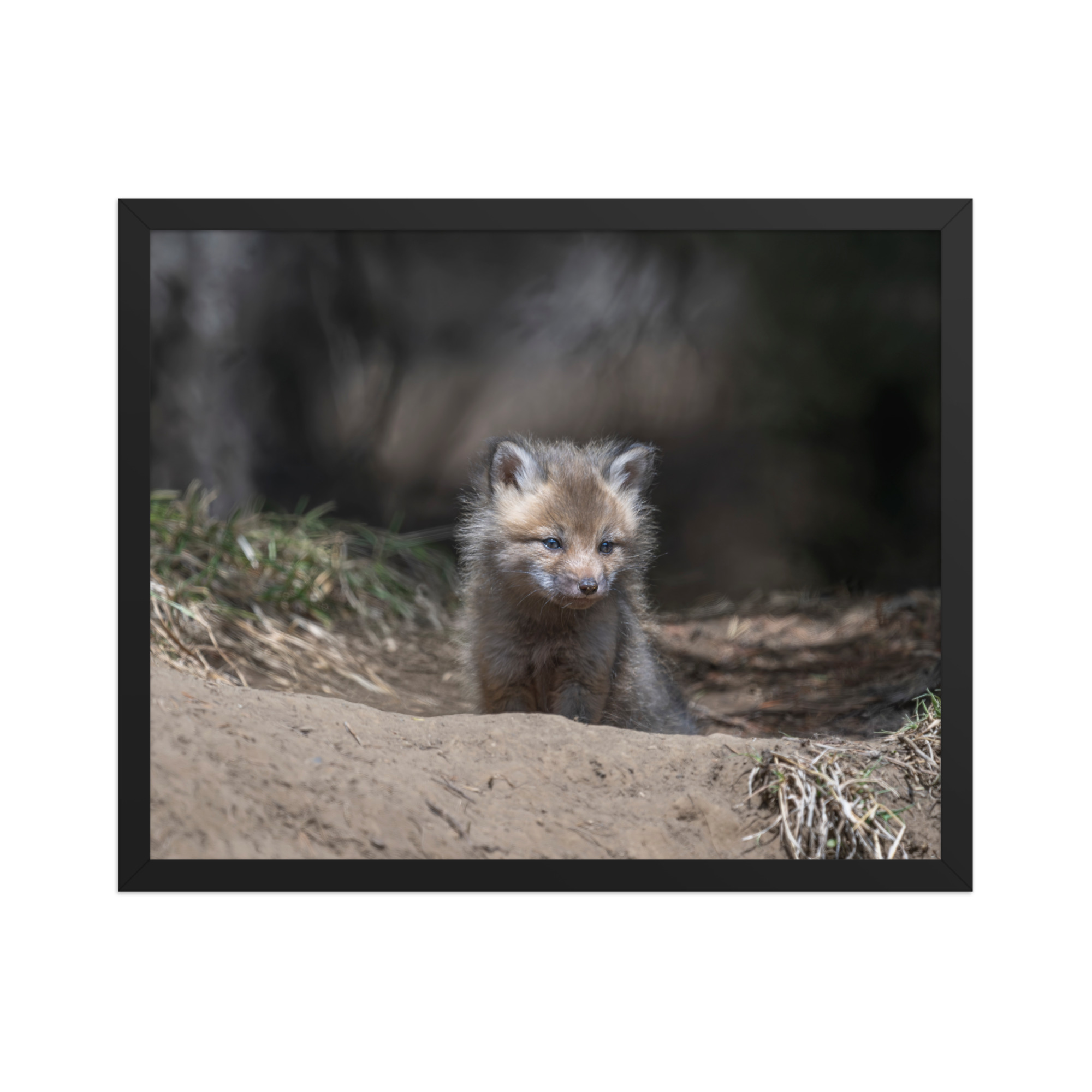 Contemplation in Progress! Framed photo paper poster - Image 9