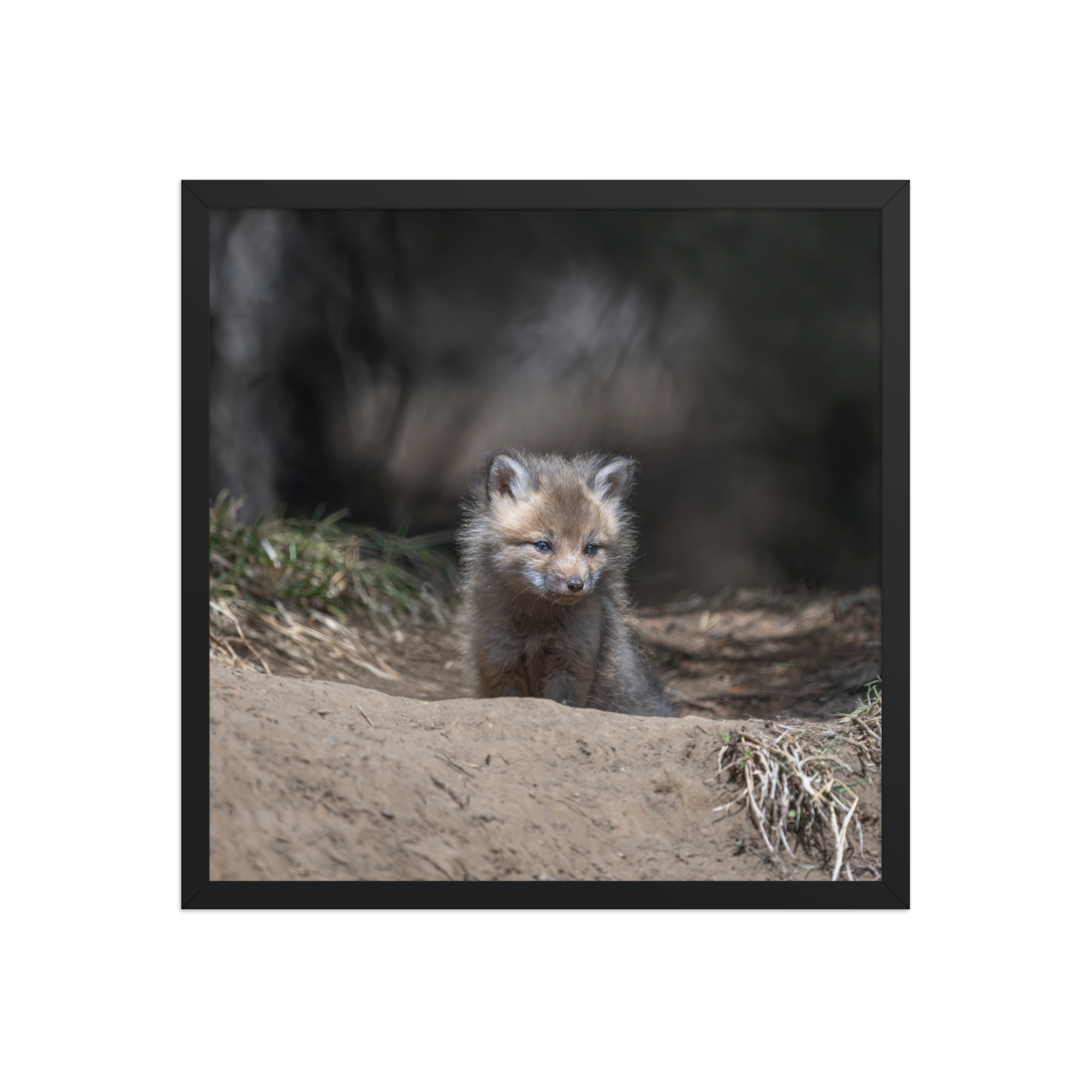 Contemplation in Progress! Framed photo paper poster - Image 10