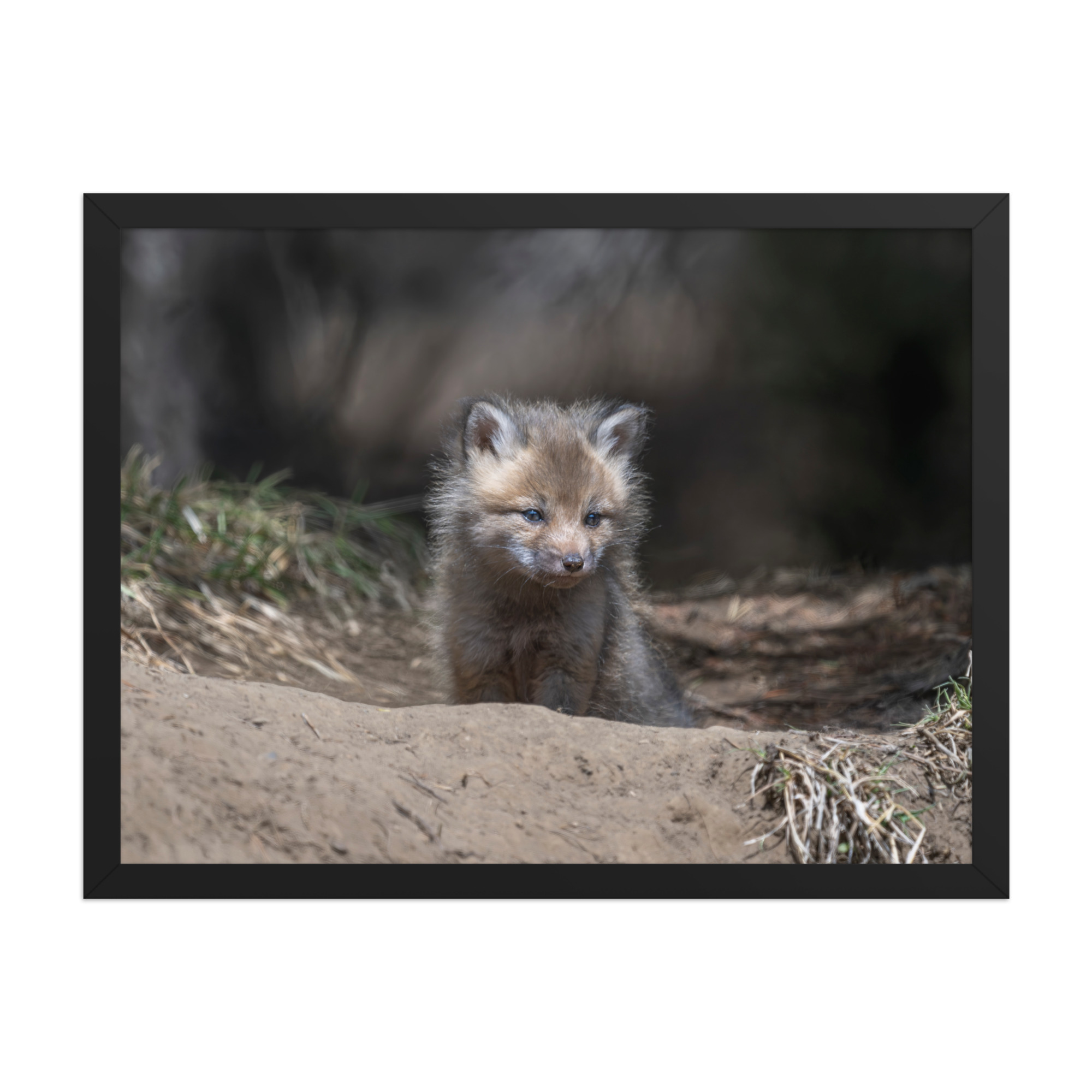 Contemplation in Progress! Framed photo paper poster - Image 11