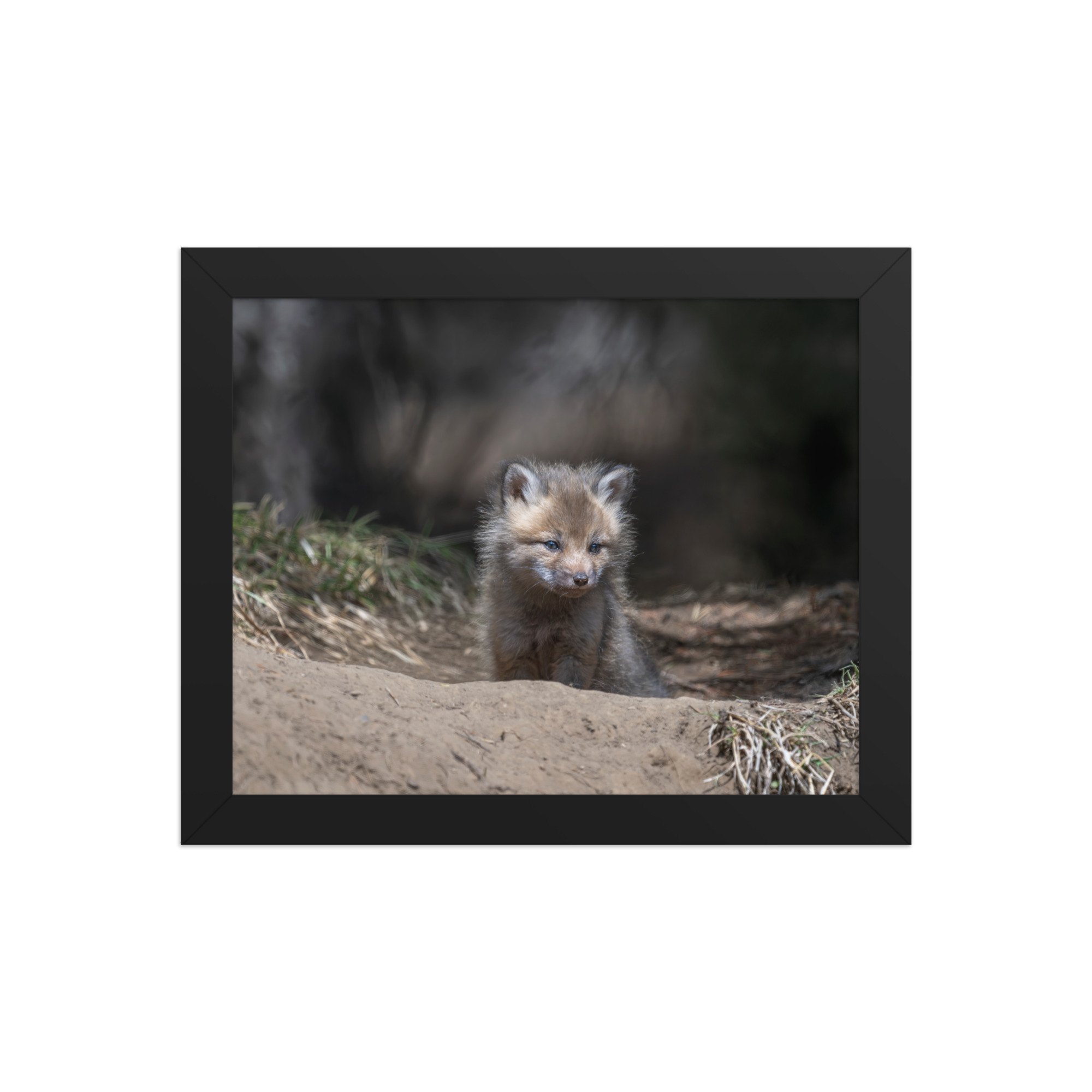 Contemplation in Progress! Framed photo paper poster - Image 2