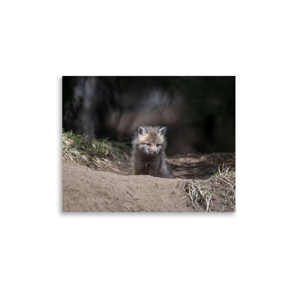 Contemplation in Progress! Photo paper poster - Image 6