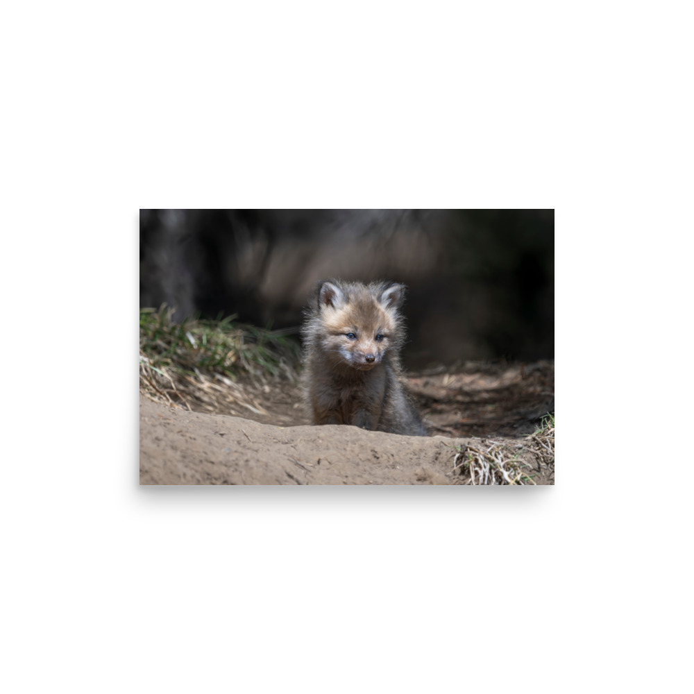 Contemplation in Progress! Photo paper poster - Image 10