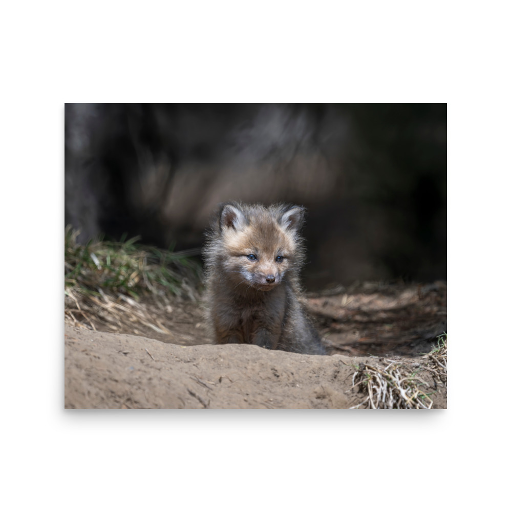 Contemplation in Progress! Photo paper poster - Image 13