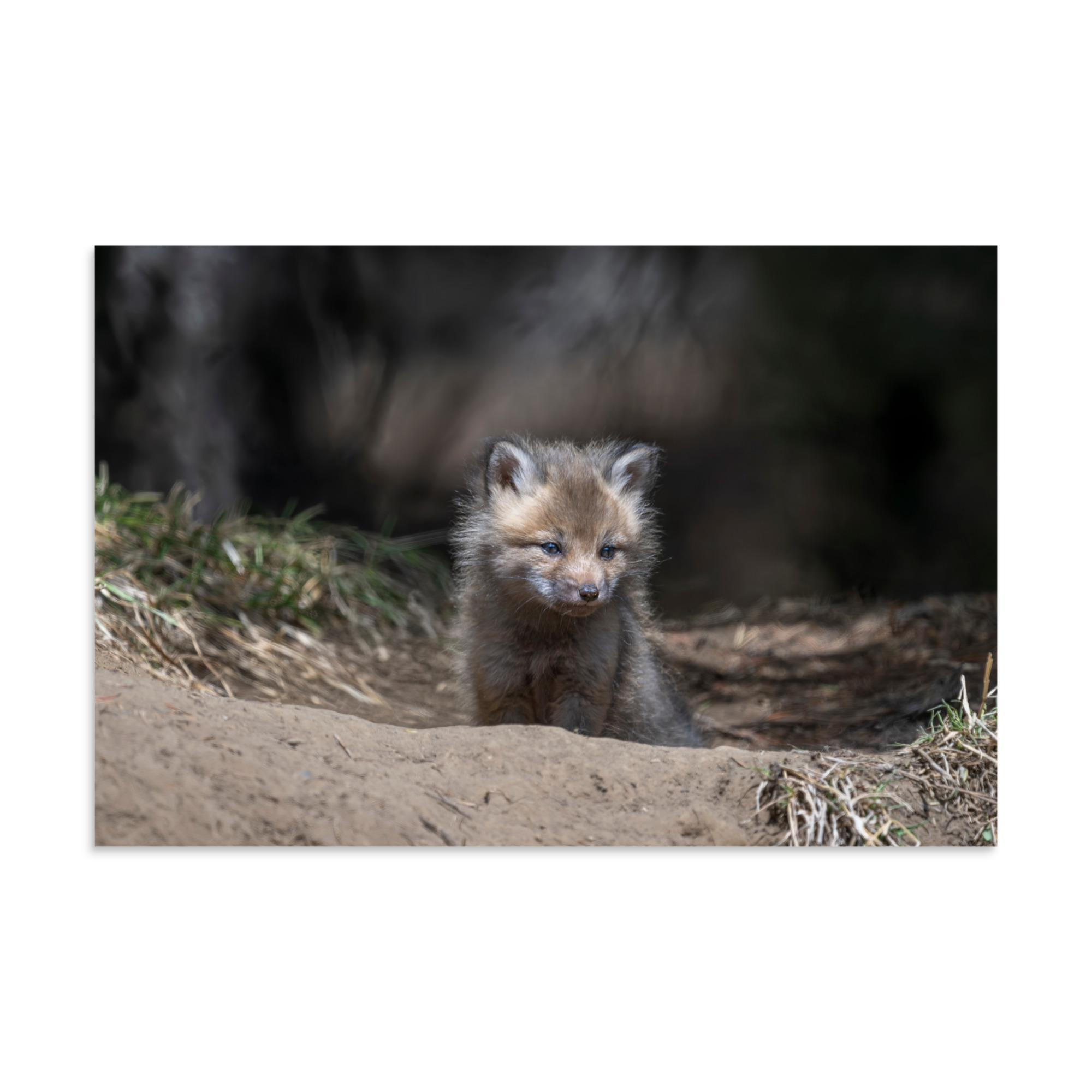Contemplation in Progress! Photo paper poster - Image 14