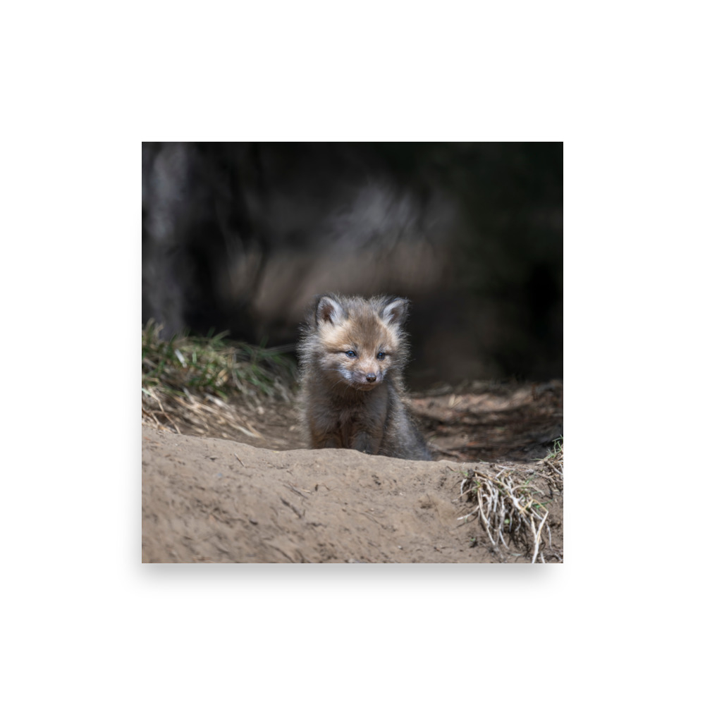 Contemplation in Progress! Photo paper poster - Image 15
