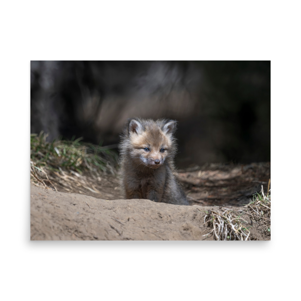Contemplation in Progress! Photo paper poster - Image 16
