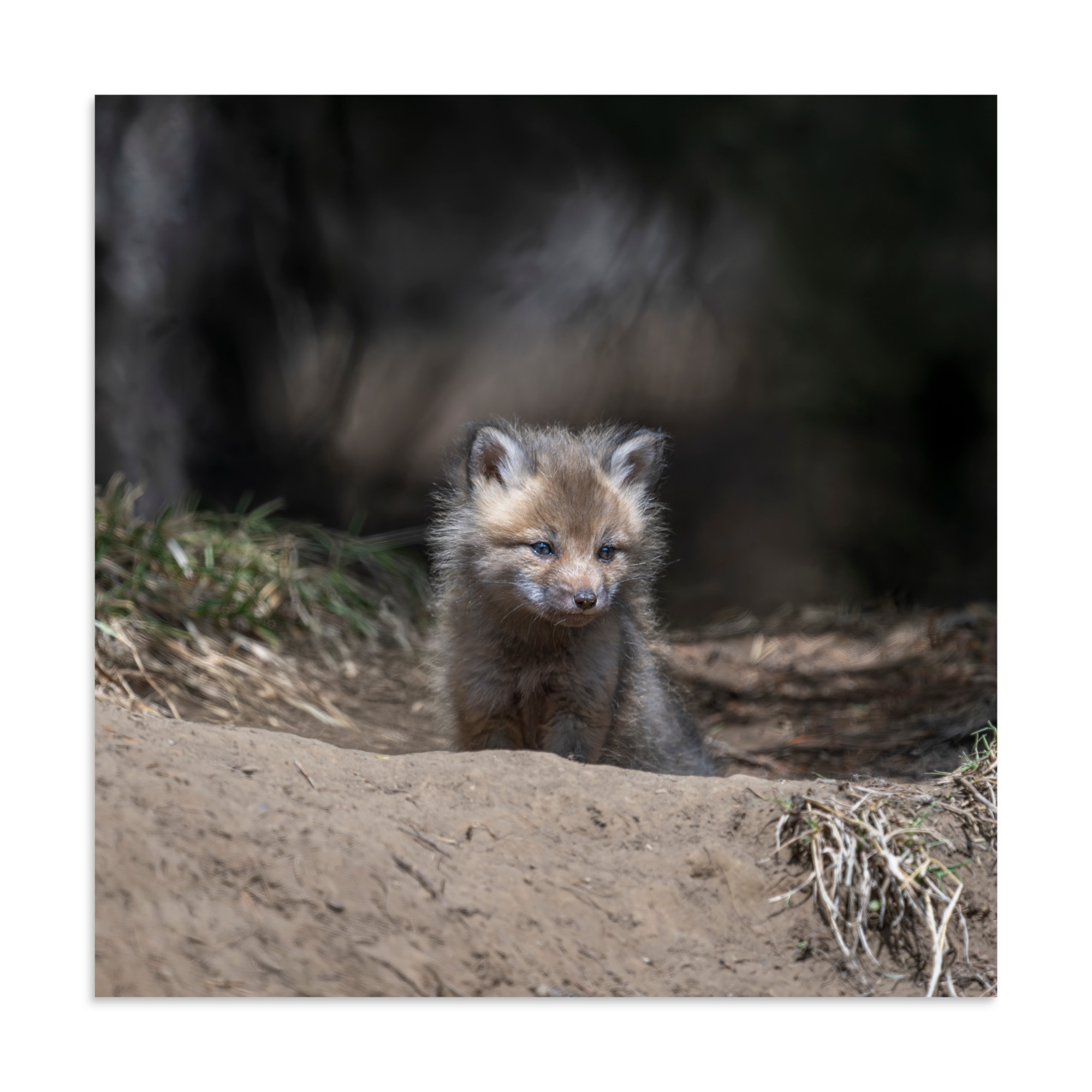 Contemplation in Progress! Photo paper poster - Image 17