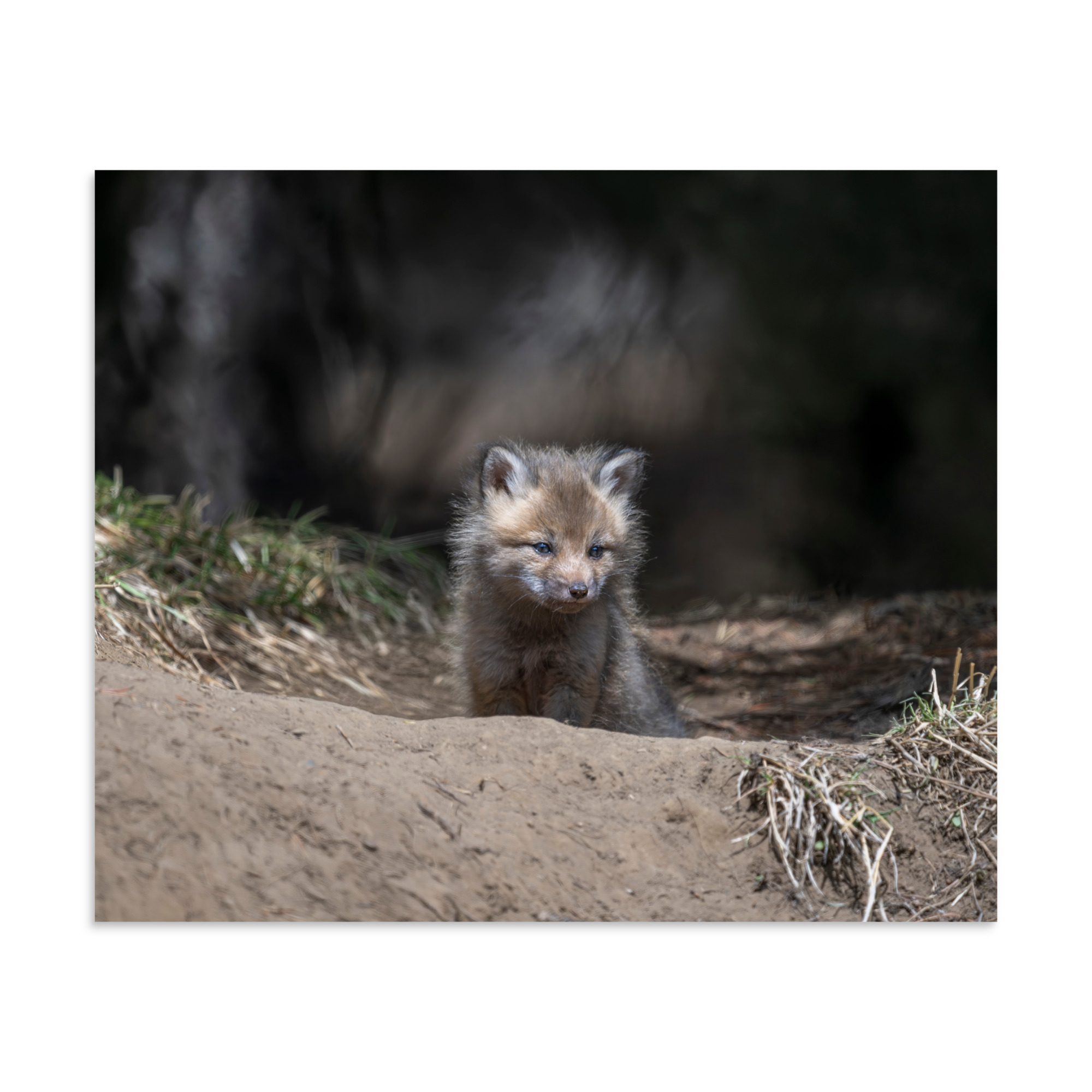 Contemplation in Progress! Photo paper poster - Image 18