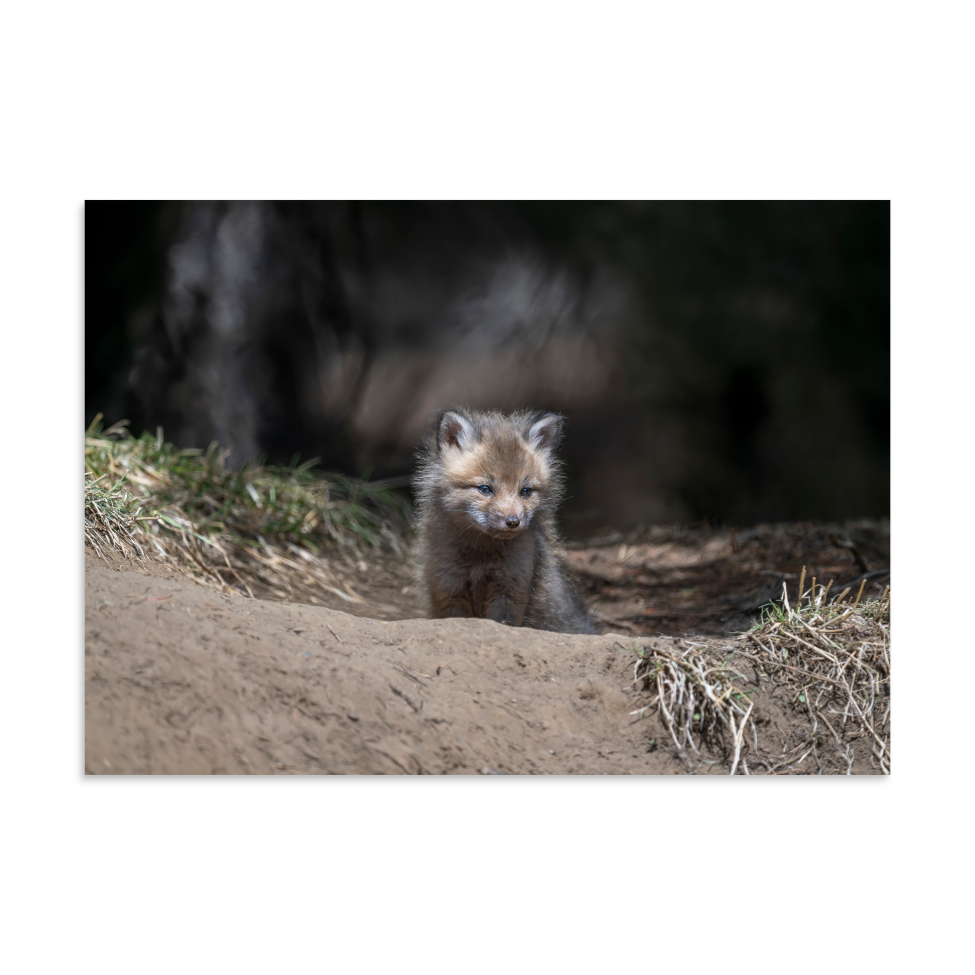 Contemplation in Progress! Photo paper poster - Image 19