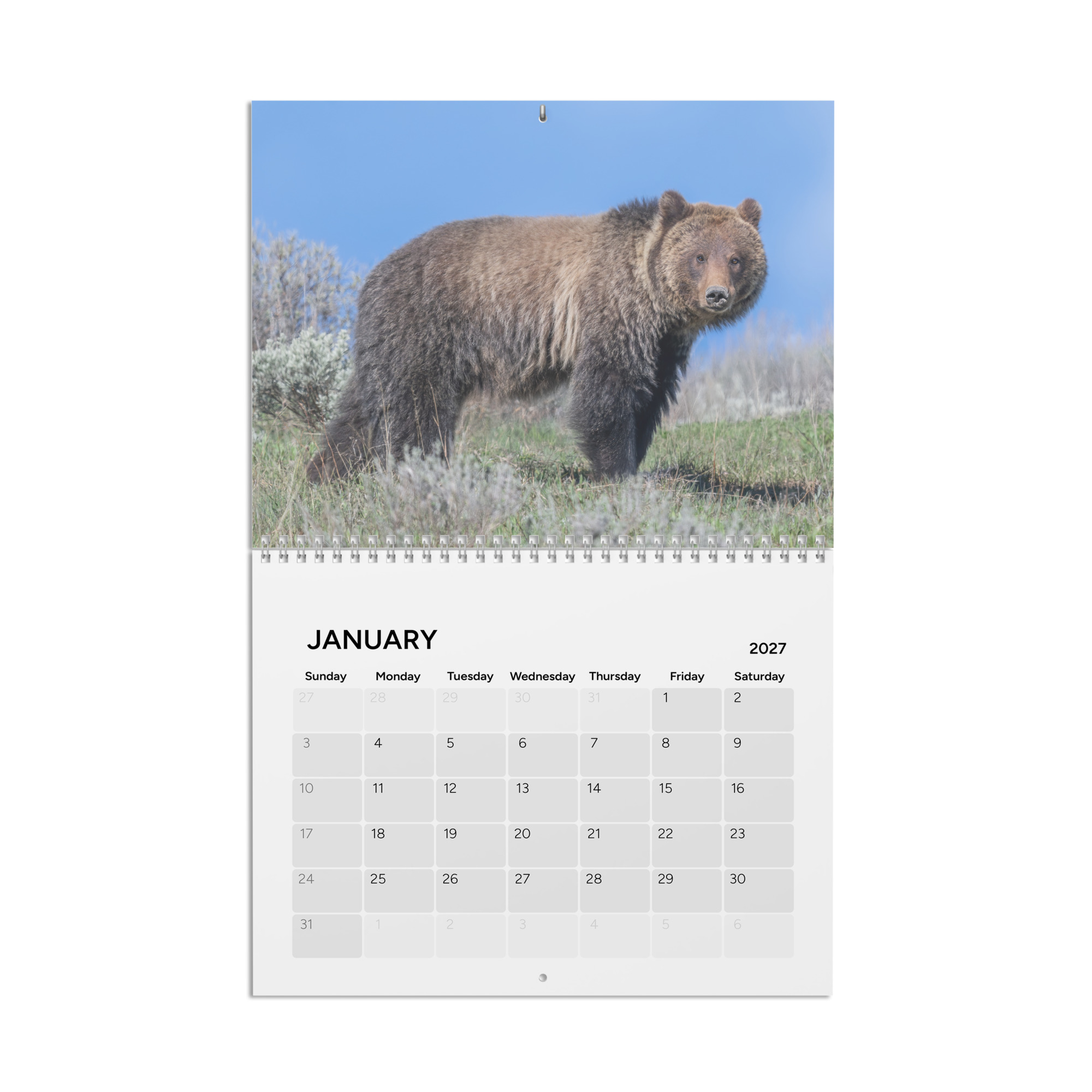 2027 Wall Calendar with high resolution images of Birds and Mammals in their natural habitat - Image 2