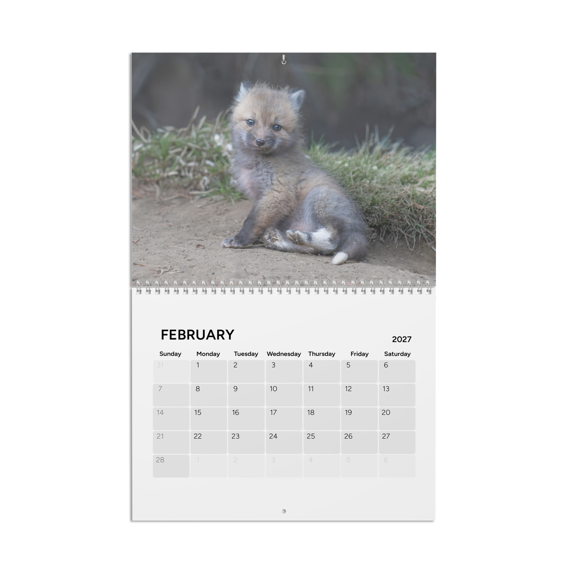 2027 Wall Calendar with high resolution images of Birds and Mammals in their natural habitat - Image 3