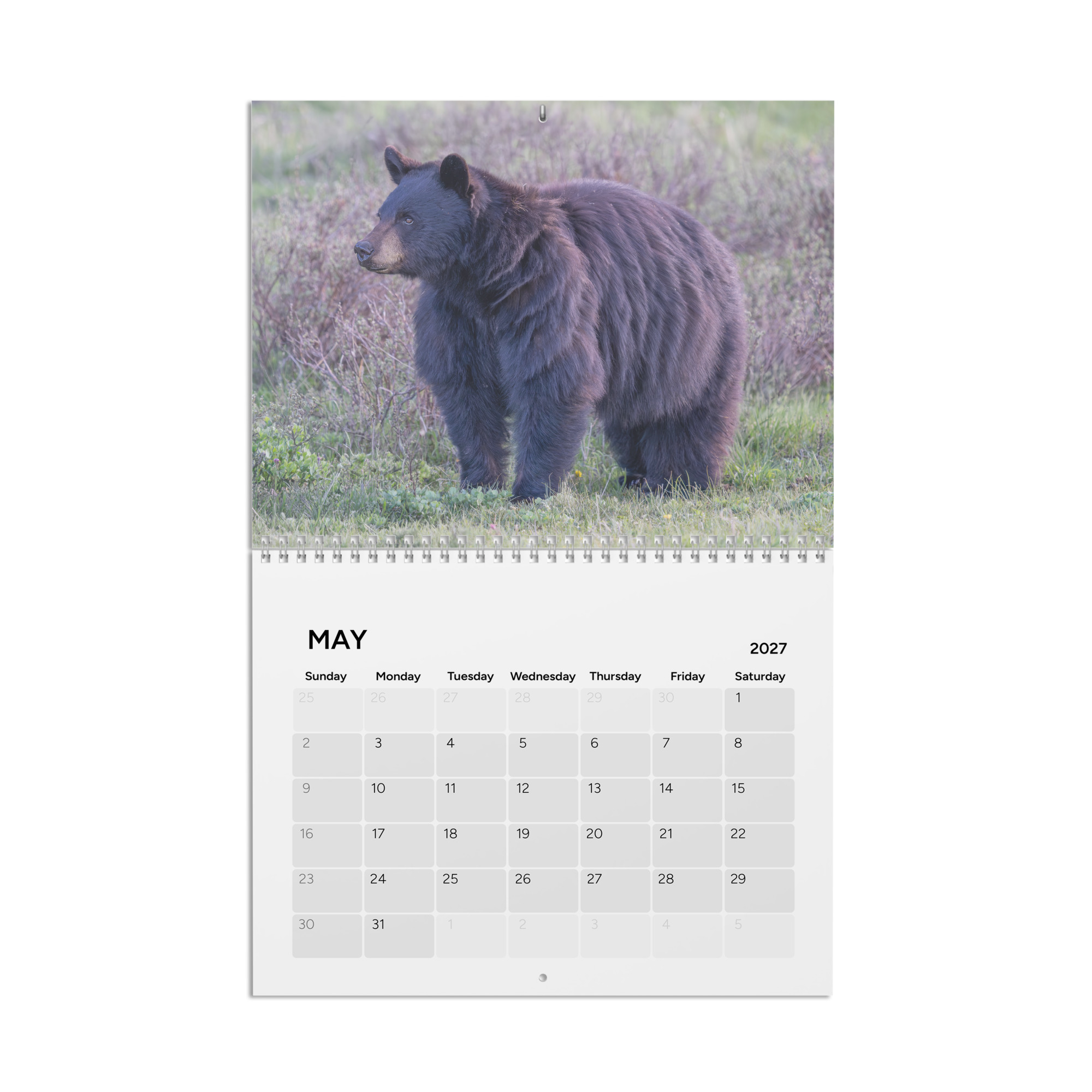 2027 Wall Calendar with high resolution images of Birds and Mammals in their natural habitat - Image 6