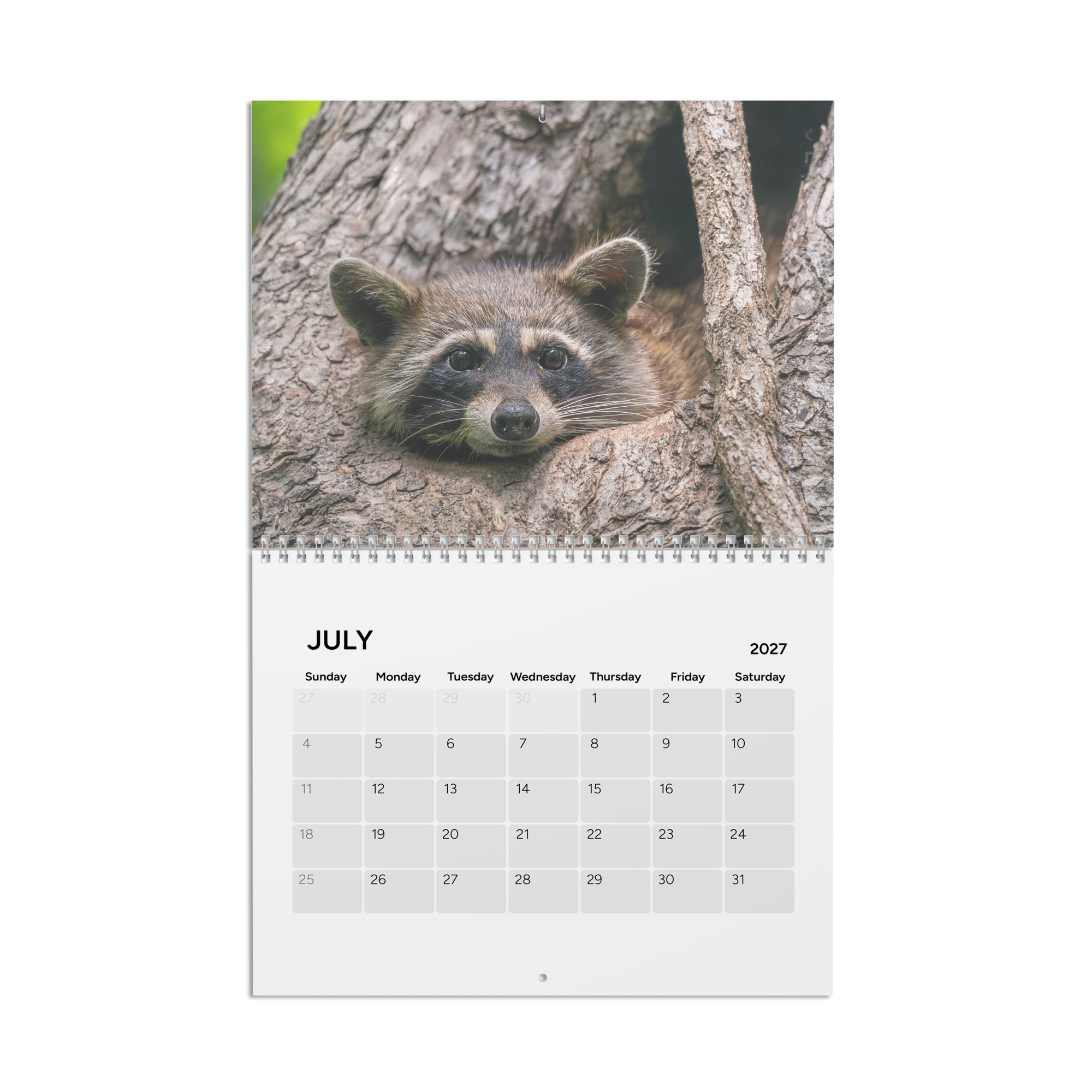 2027 Wall Calendar with high resolution images of Birds and Mammals in their natural habitat - Image 8